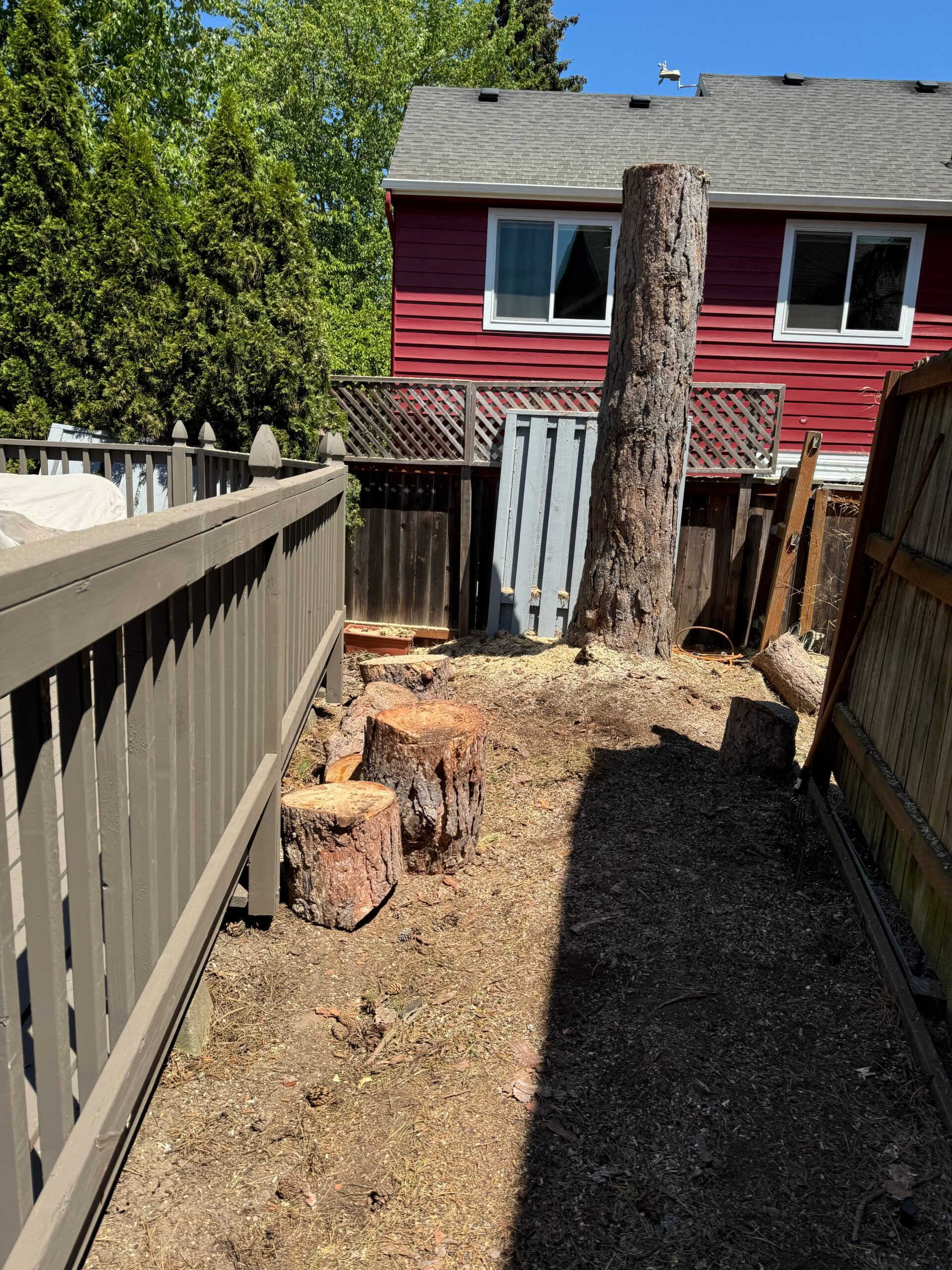 Narrow backyard path with wooden fences, tree stump, and red house in the background