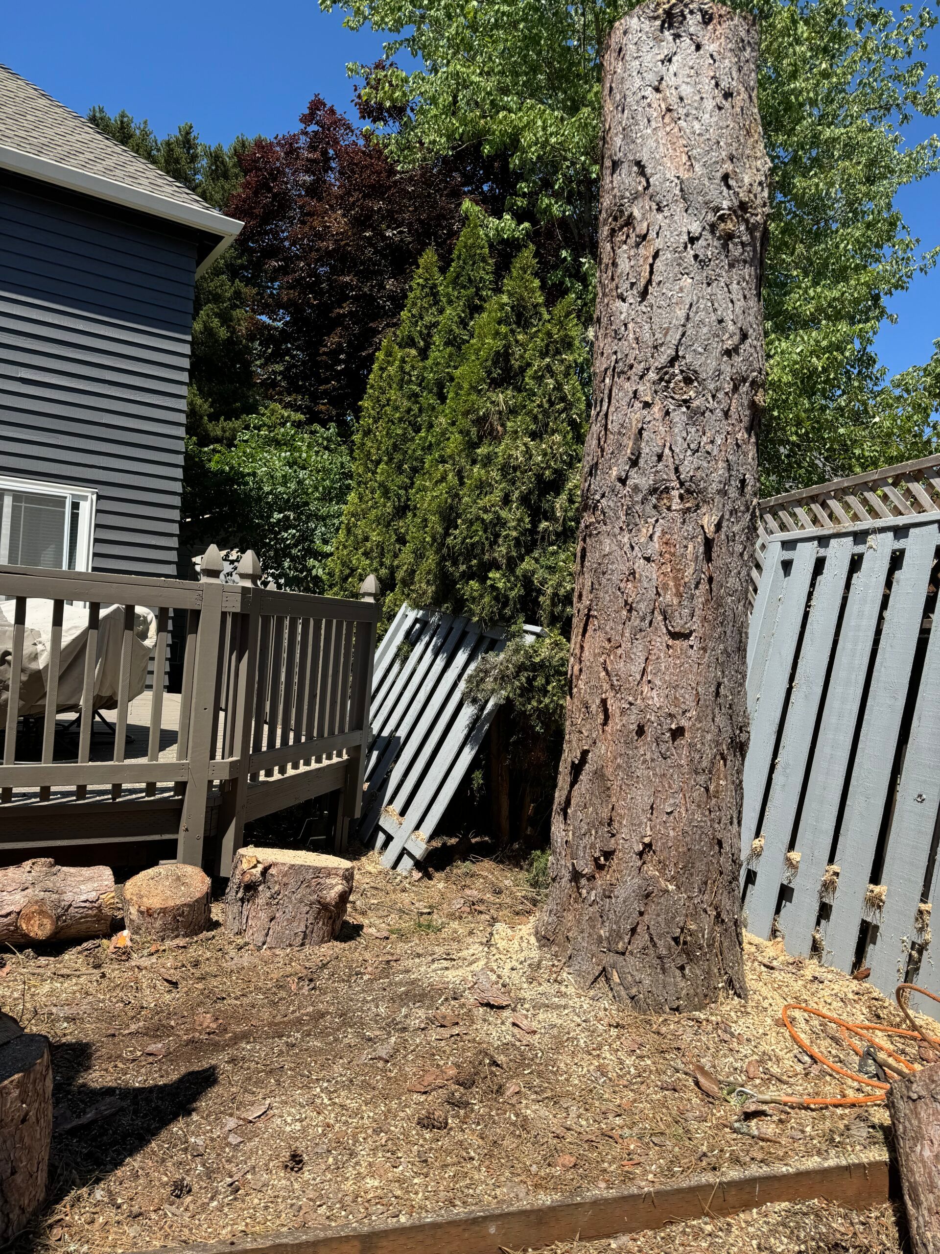 Backyard with a large tree stump, wood fence, deck, and gravel under bright sunlight