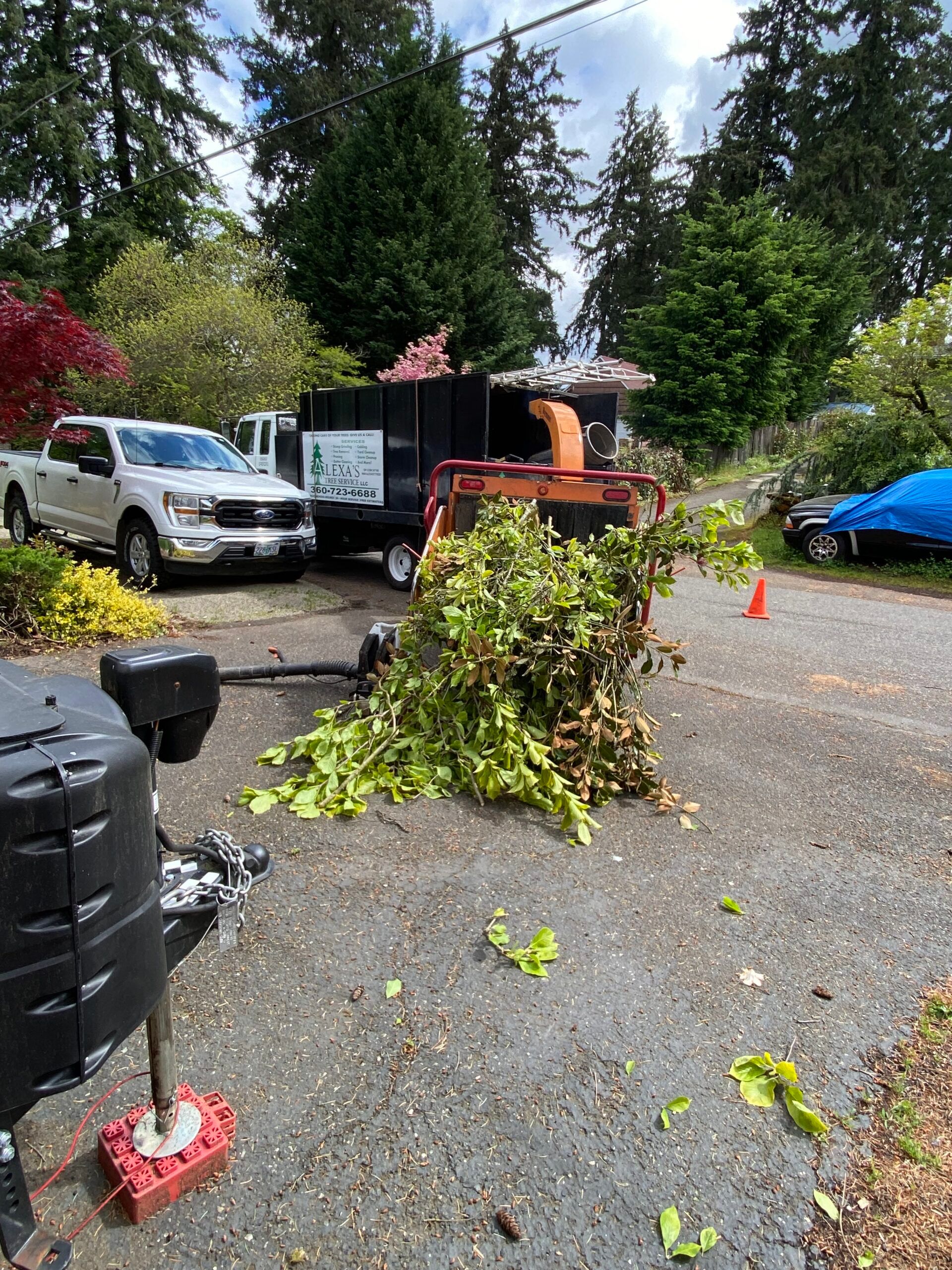 Storm-damaged driveway with fallen branches, a utility truck, parked cars, and orange cones in a wooded yard