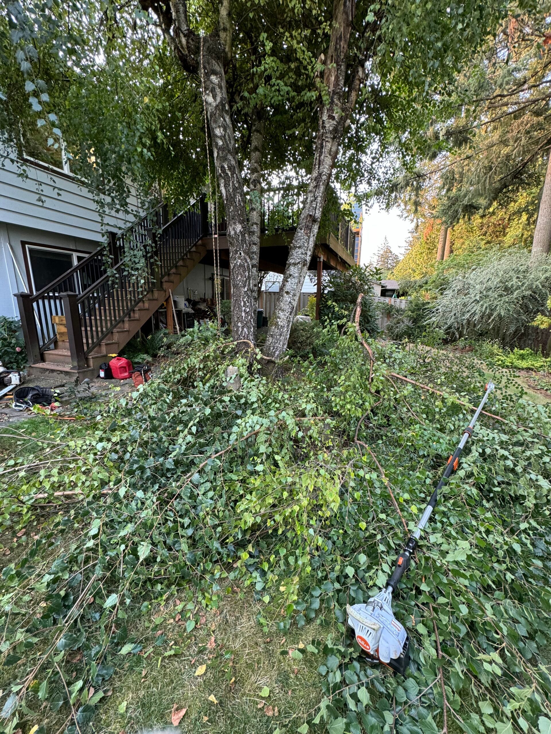 Yard covered in fallen tree branches and leaves beside a house and deck.