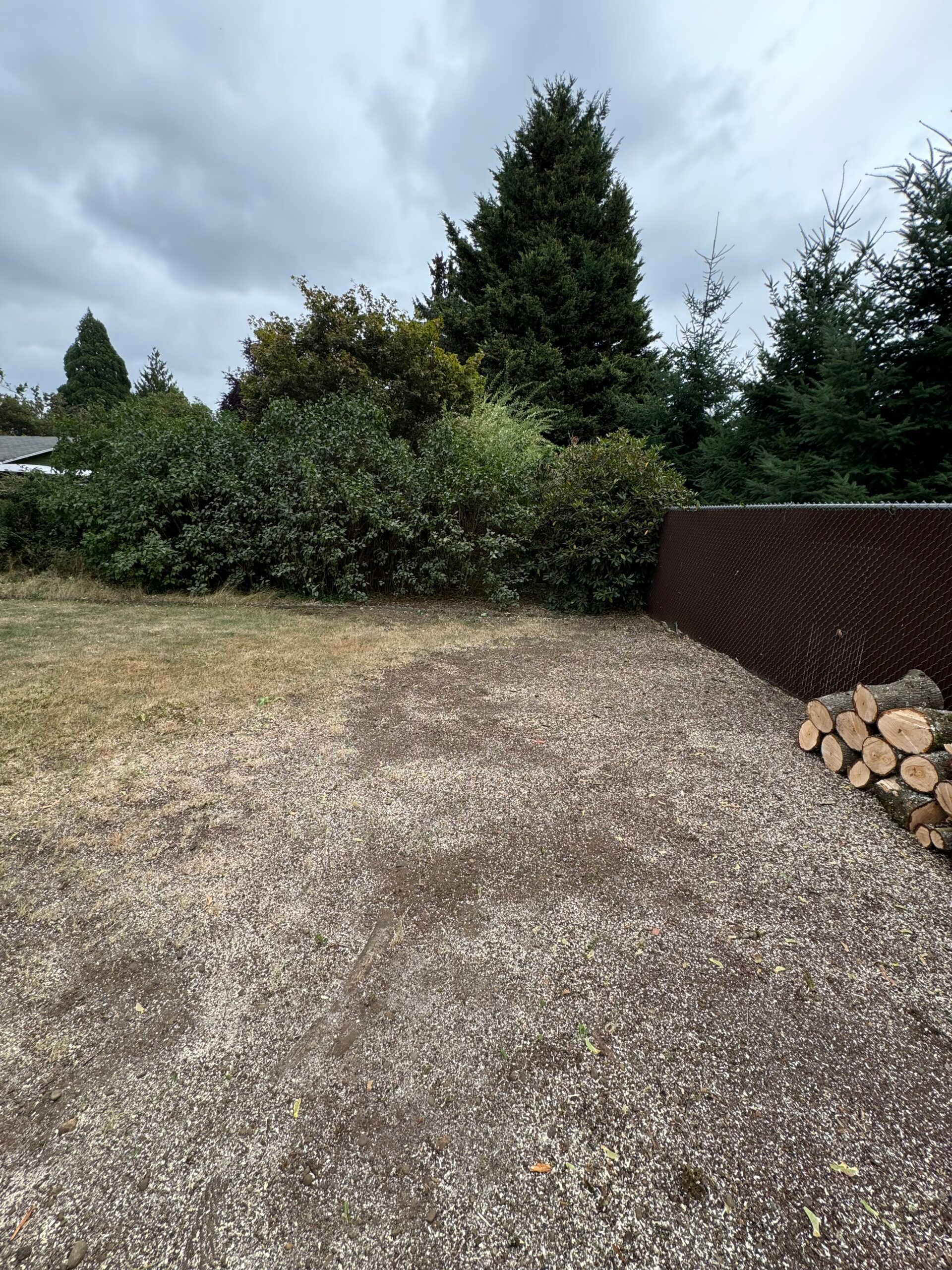 Gravel driveway beside a hedge and tall trees, with a woodpile on the right under a cloudy sky