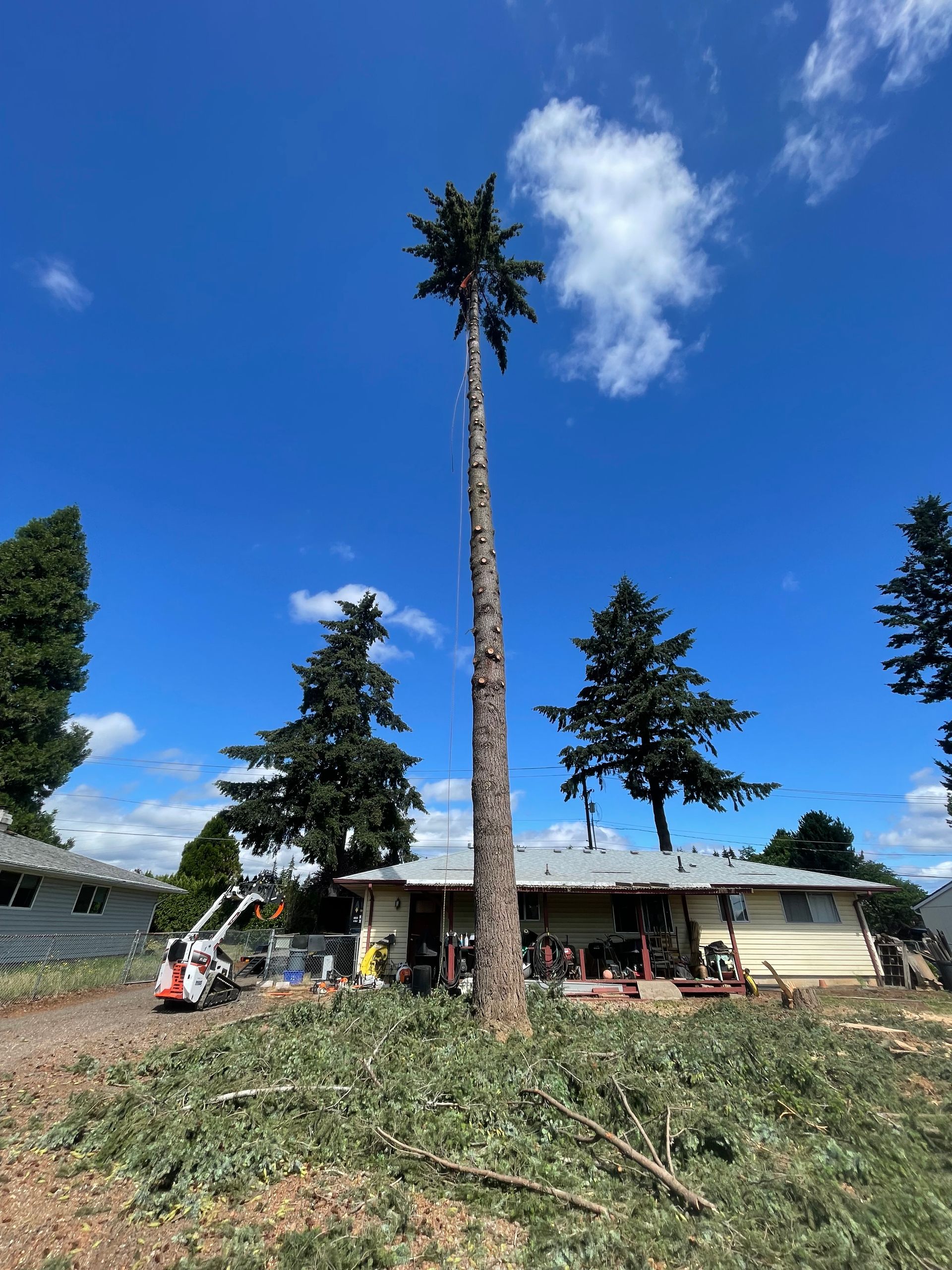 Tall, trimmed palm tree in a yard beside a house under a bright blue sky with workers below