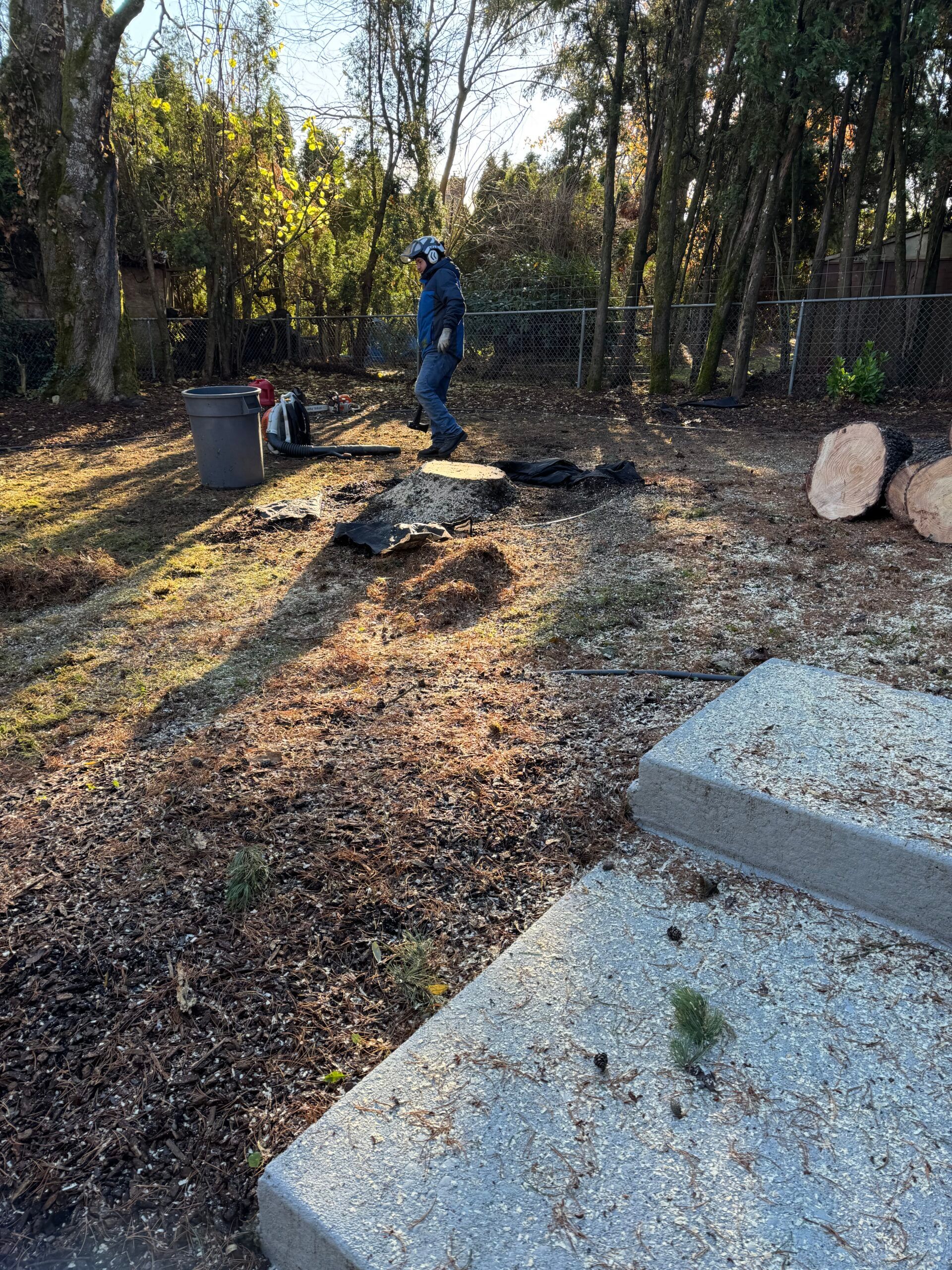 Person in blue workwear standing in a wooded yard beside logs, gravel, and concrete slabs.