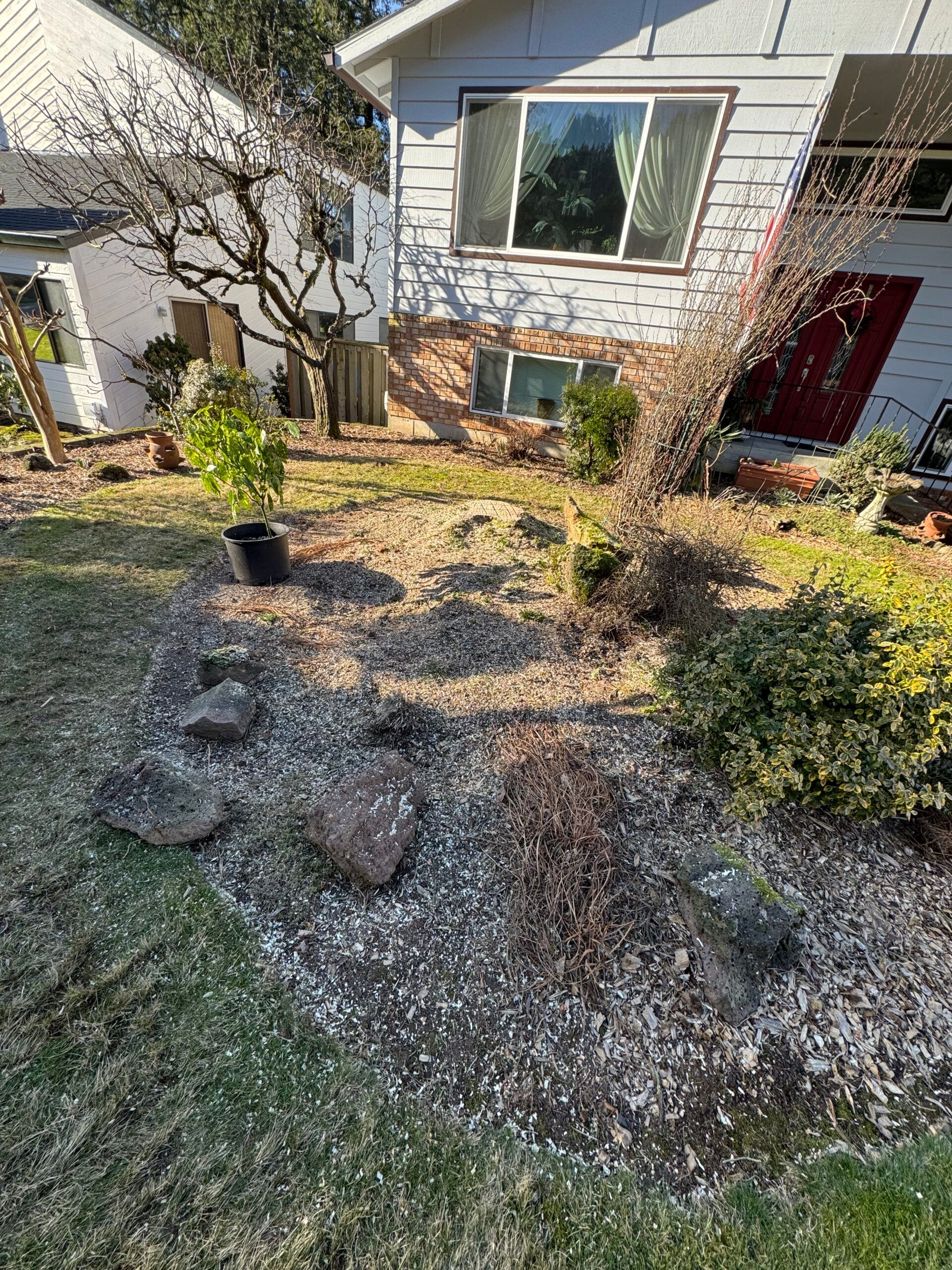 Front yard garden bed with rocks, shrubs, and a house facade in sunlight