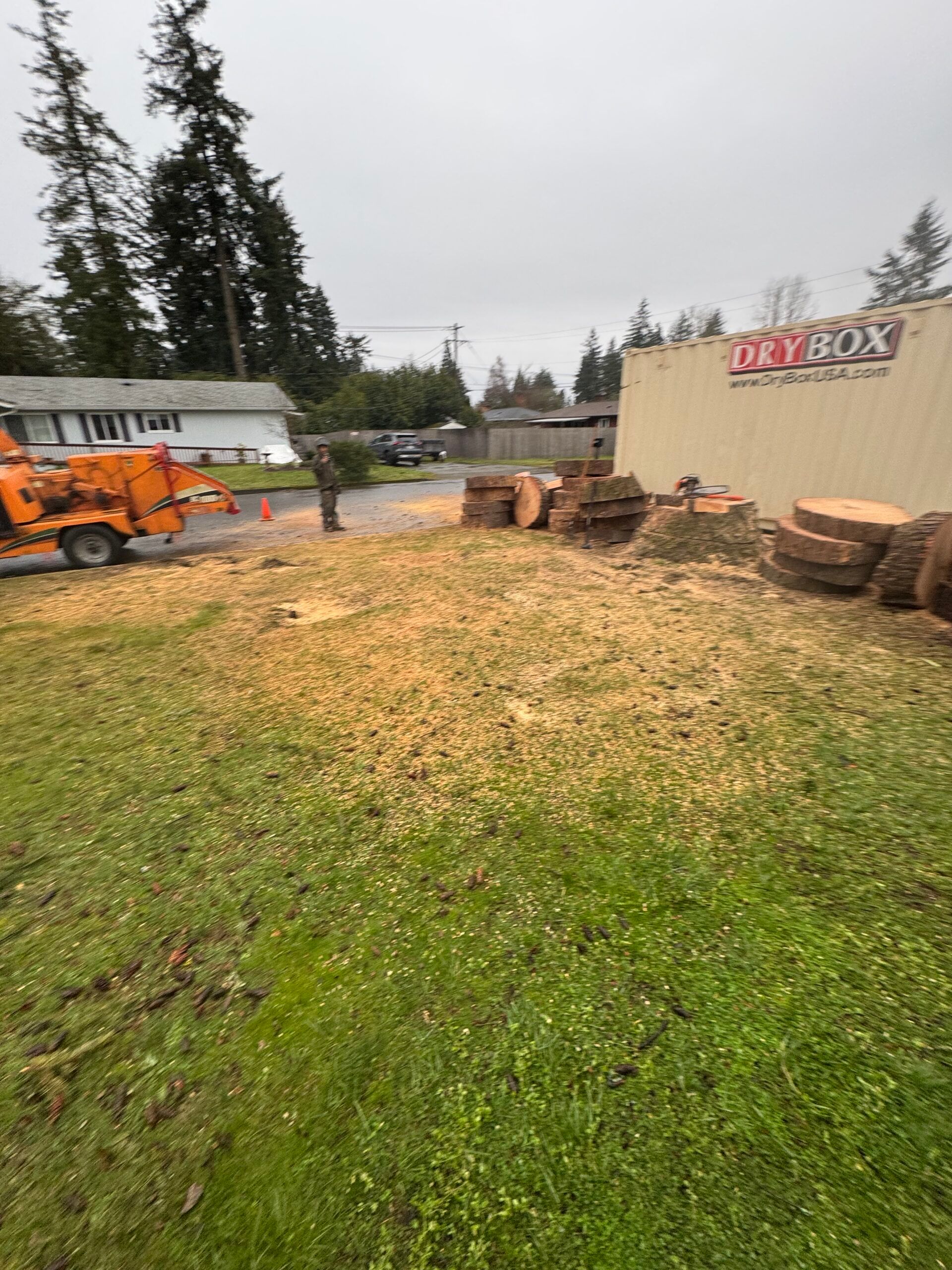 Orange tractor in a muddy yard with logs and a beige shed under a gray sky.