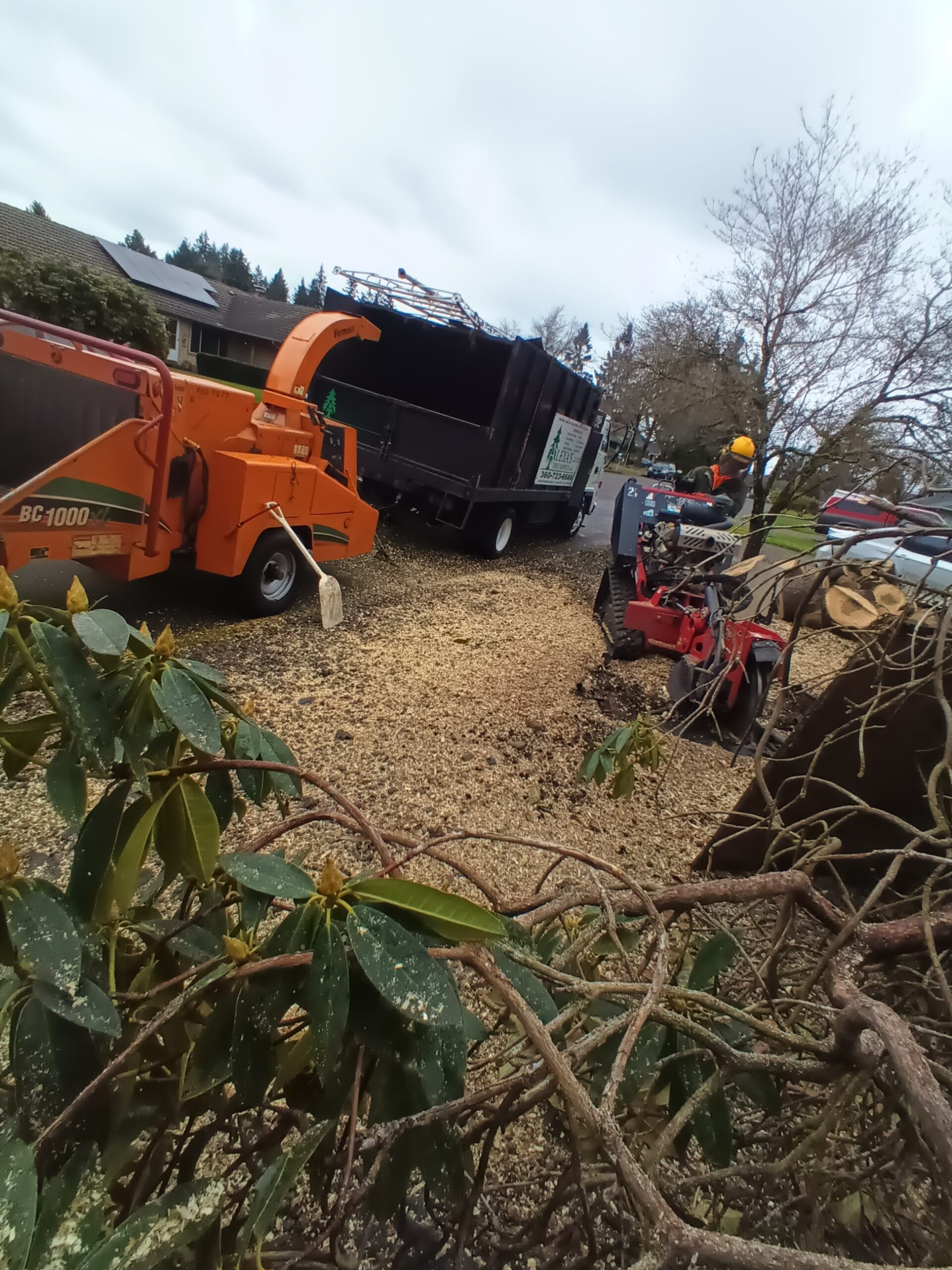Storm-damaged tree branches being cleared by orange and red wood chippers in a yard