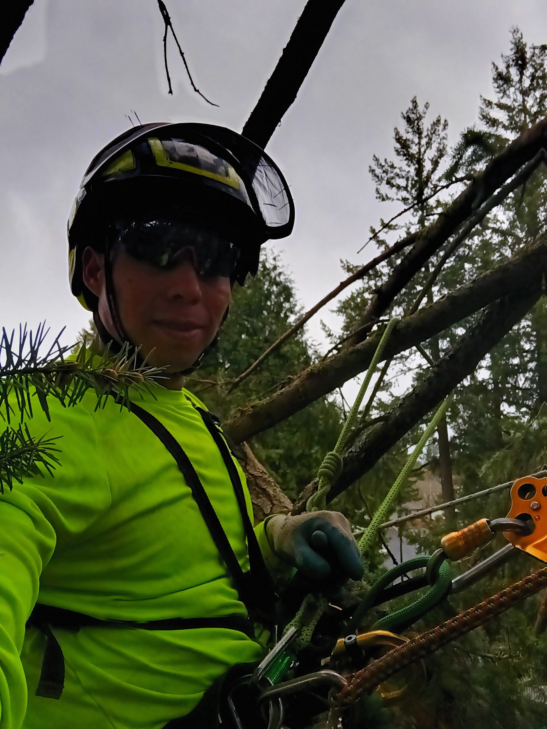 Person in a neon green jacket and helmet stands in a tree, holding climbing ropes.