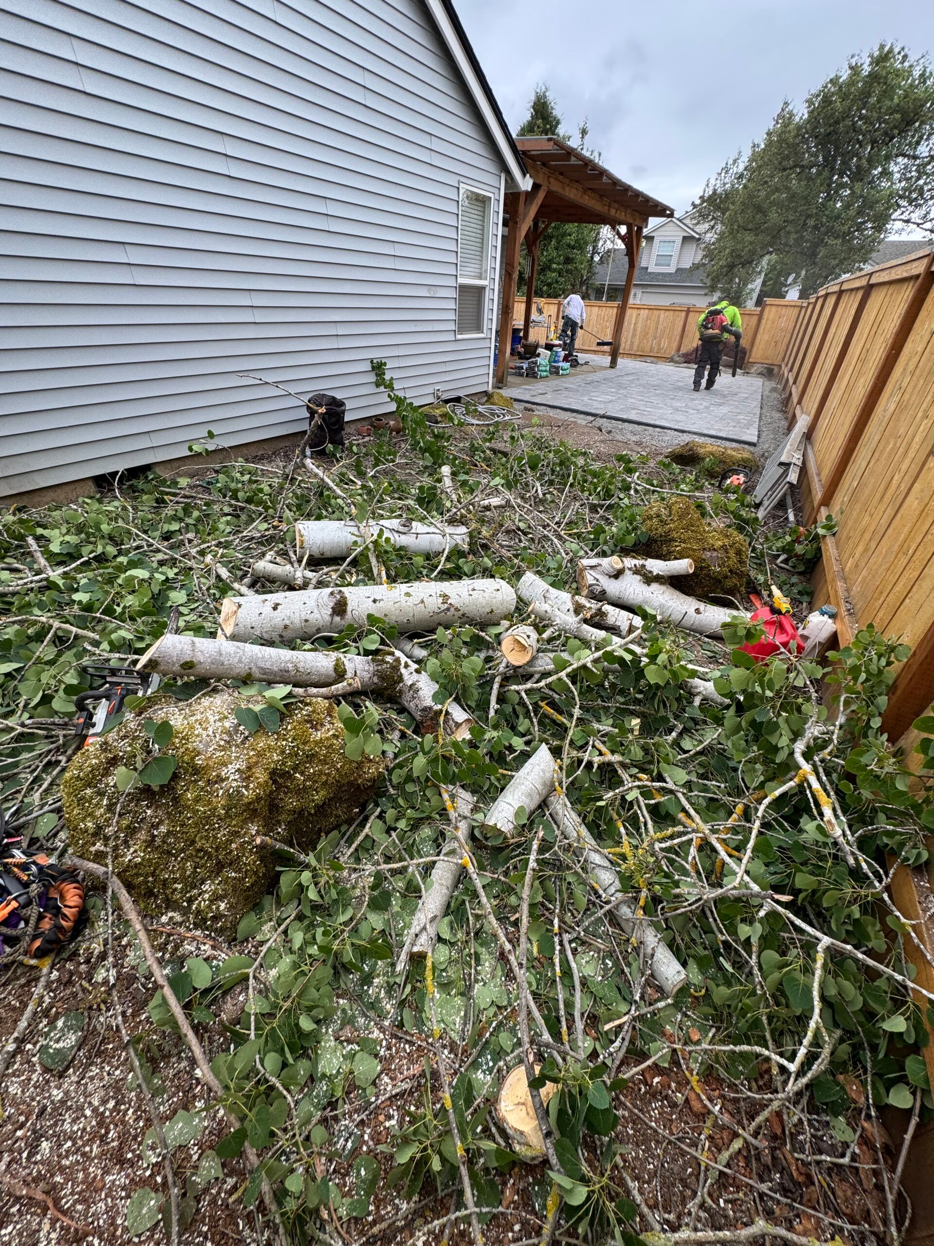 Overgrown side yard with scattered white PVC pipes beside a house and wooden fence