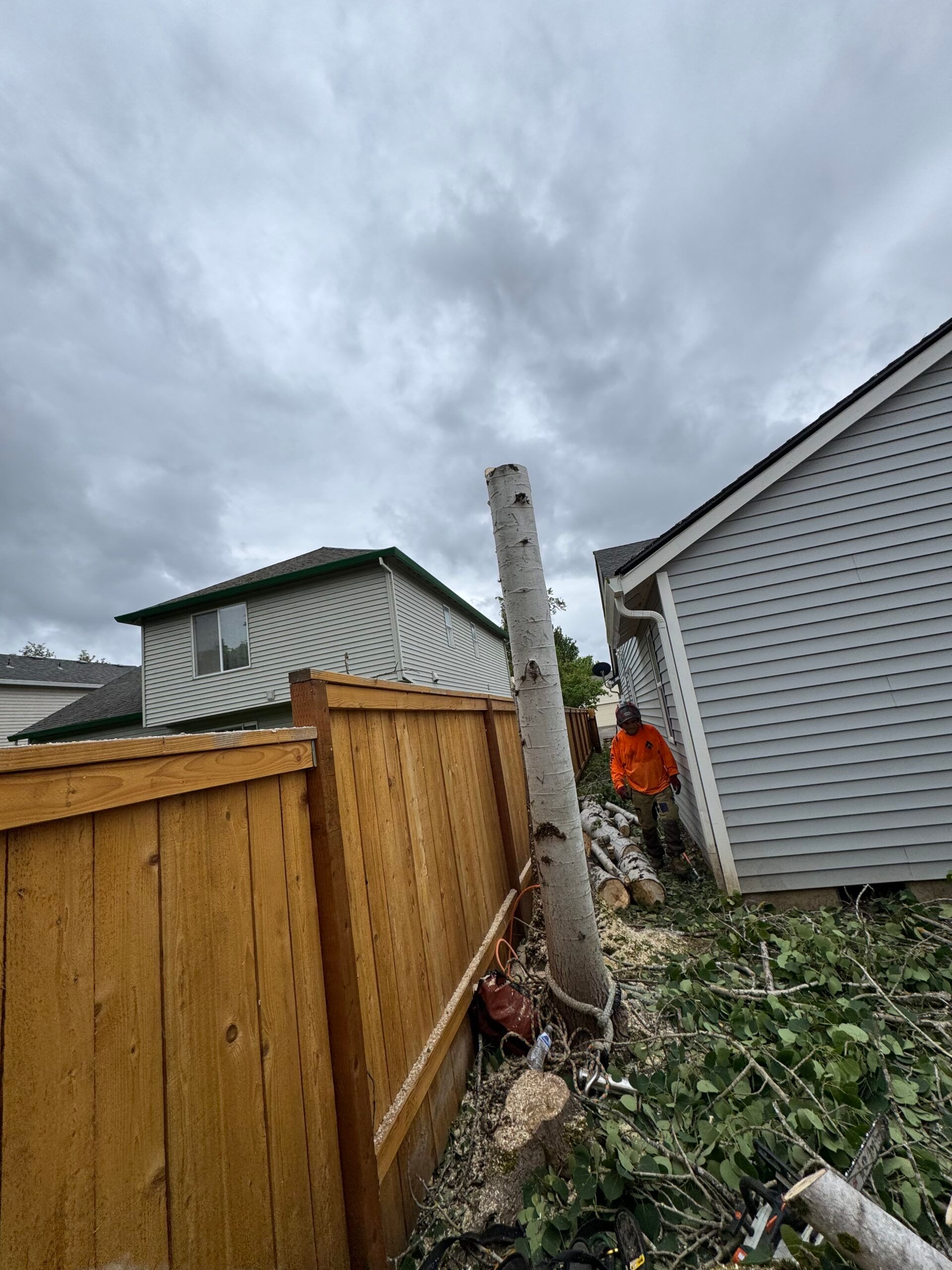 Backyard with a wooden fence, shed, and a person in an orange jacket near a tree stump under cloudy skies