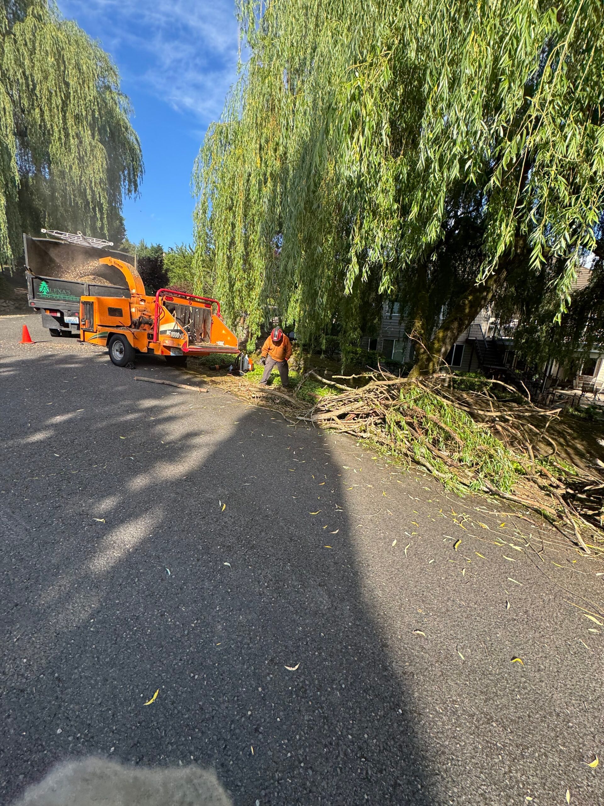 Workers clear fallen branches beside an orange wood chipper on a tree-lined road.