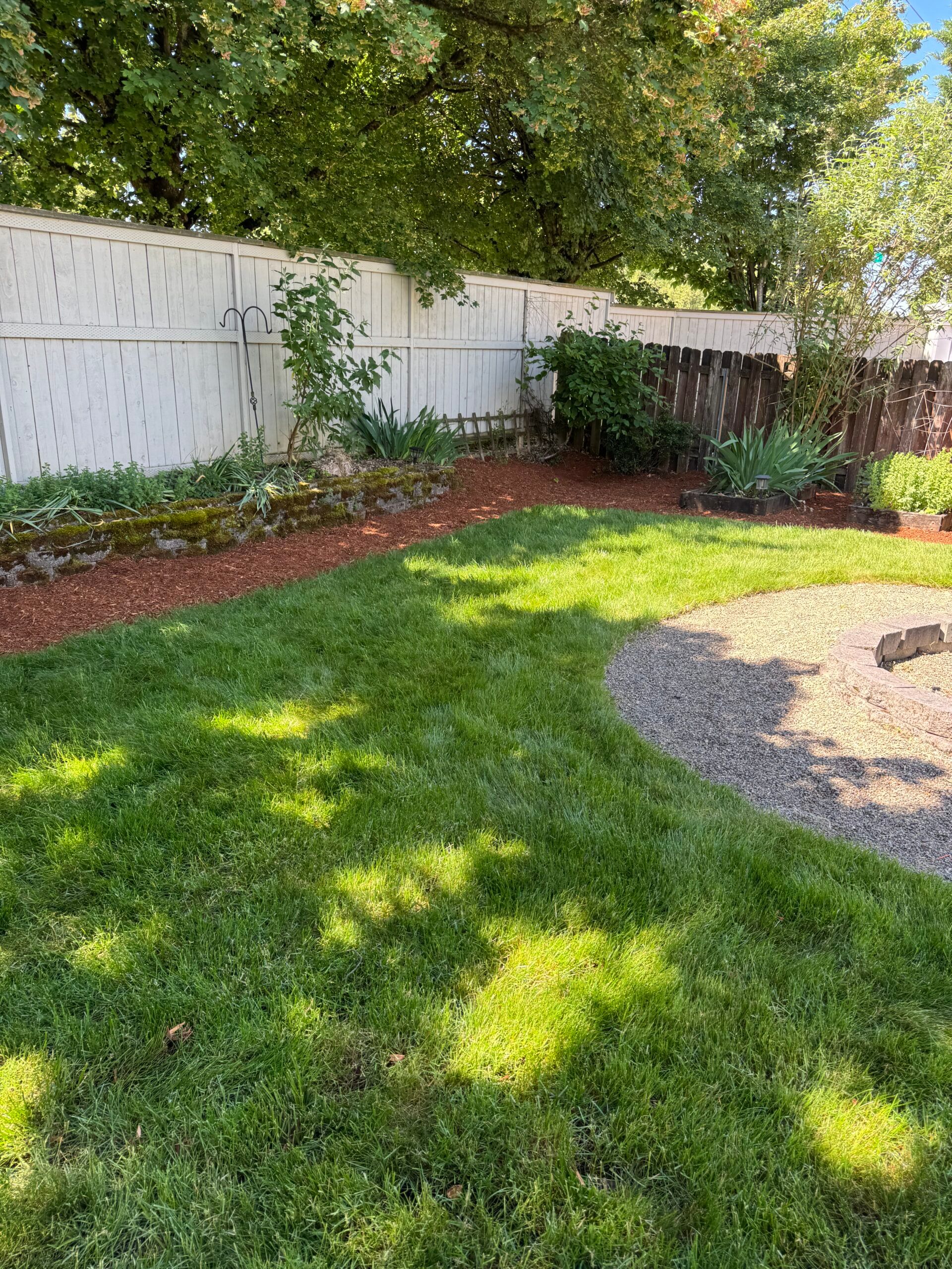 Sunny backyard with green lawn, white fence, trees, and a gravel patio edge.