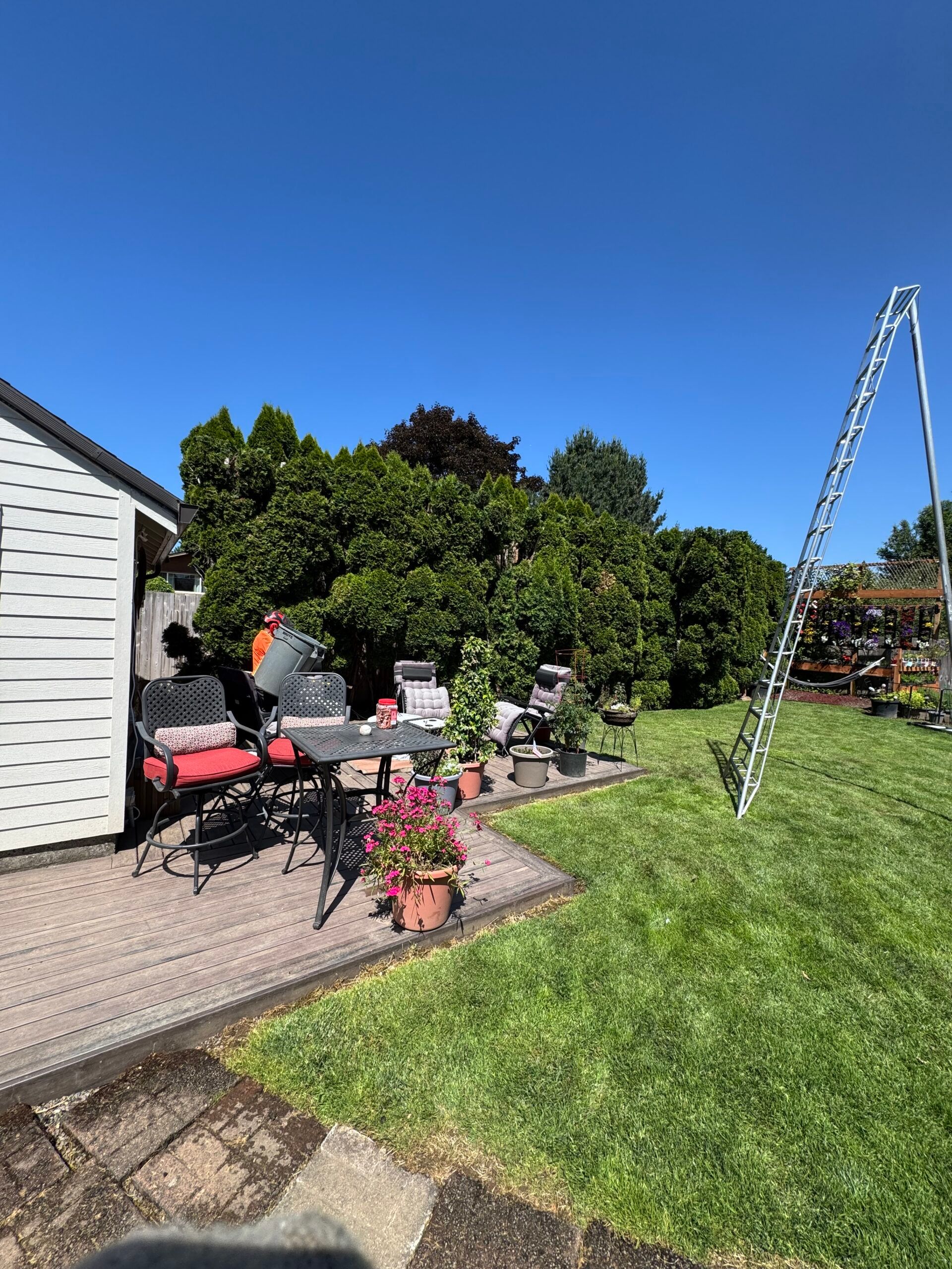 Backyard patio with chairs, pink flowers, a white house, and a clothesline under a clear blue sky