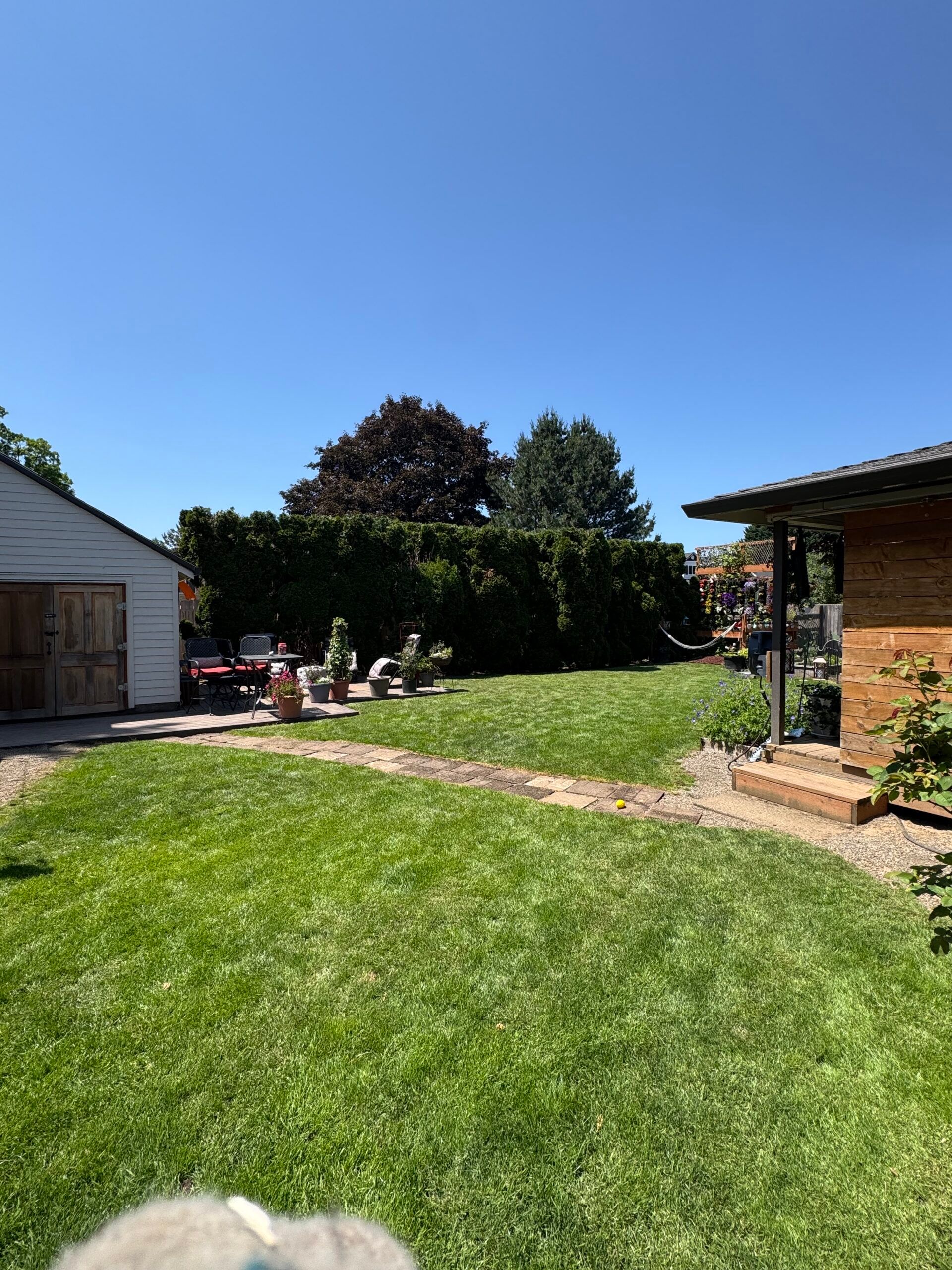 Sunny backyard with green lawn, patio seating, hedge, and a brick house under a blue sky