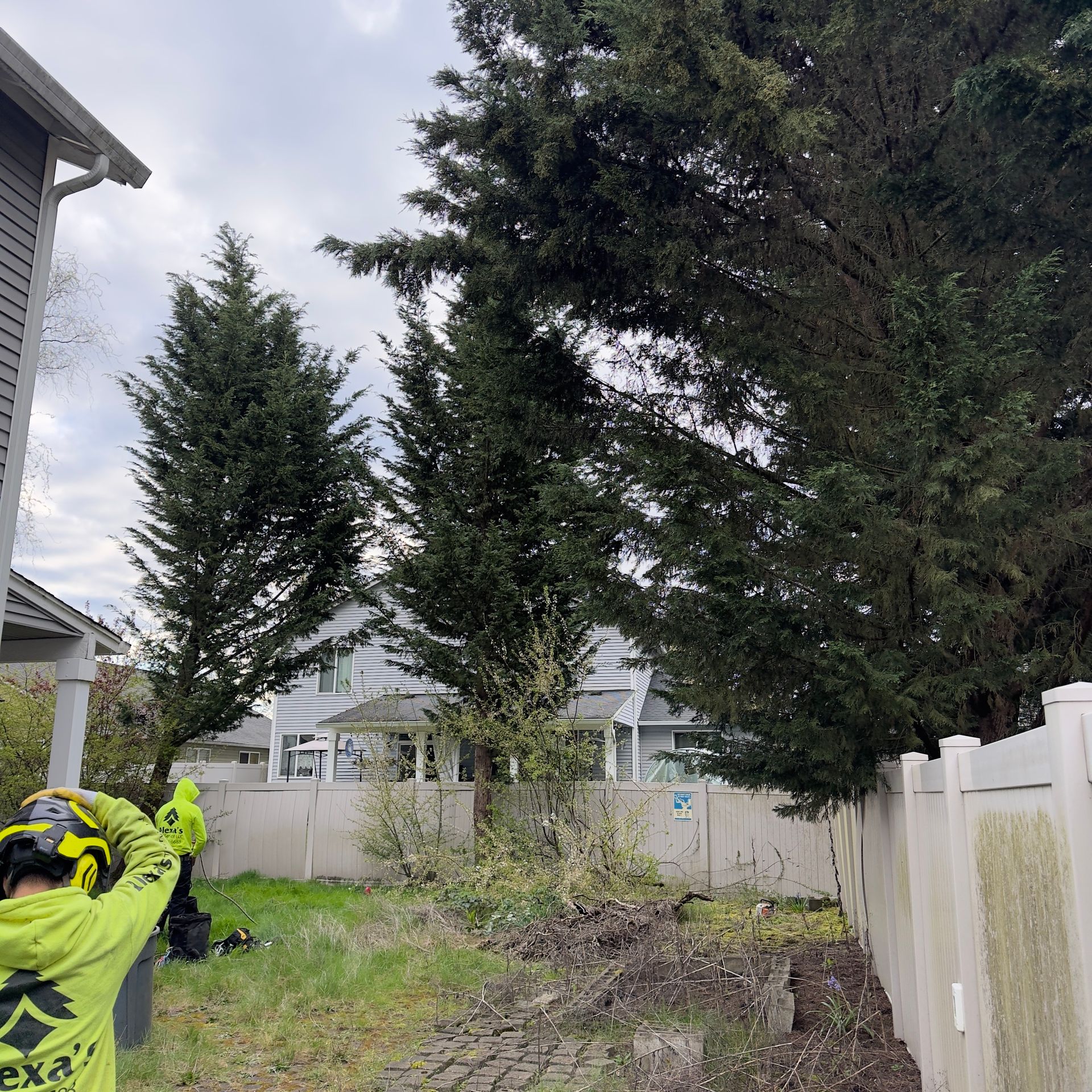 Person in neon jacket working in a backyard beside a white fence and tall evergreens.
