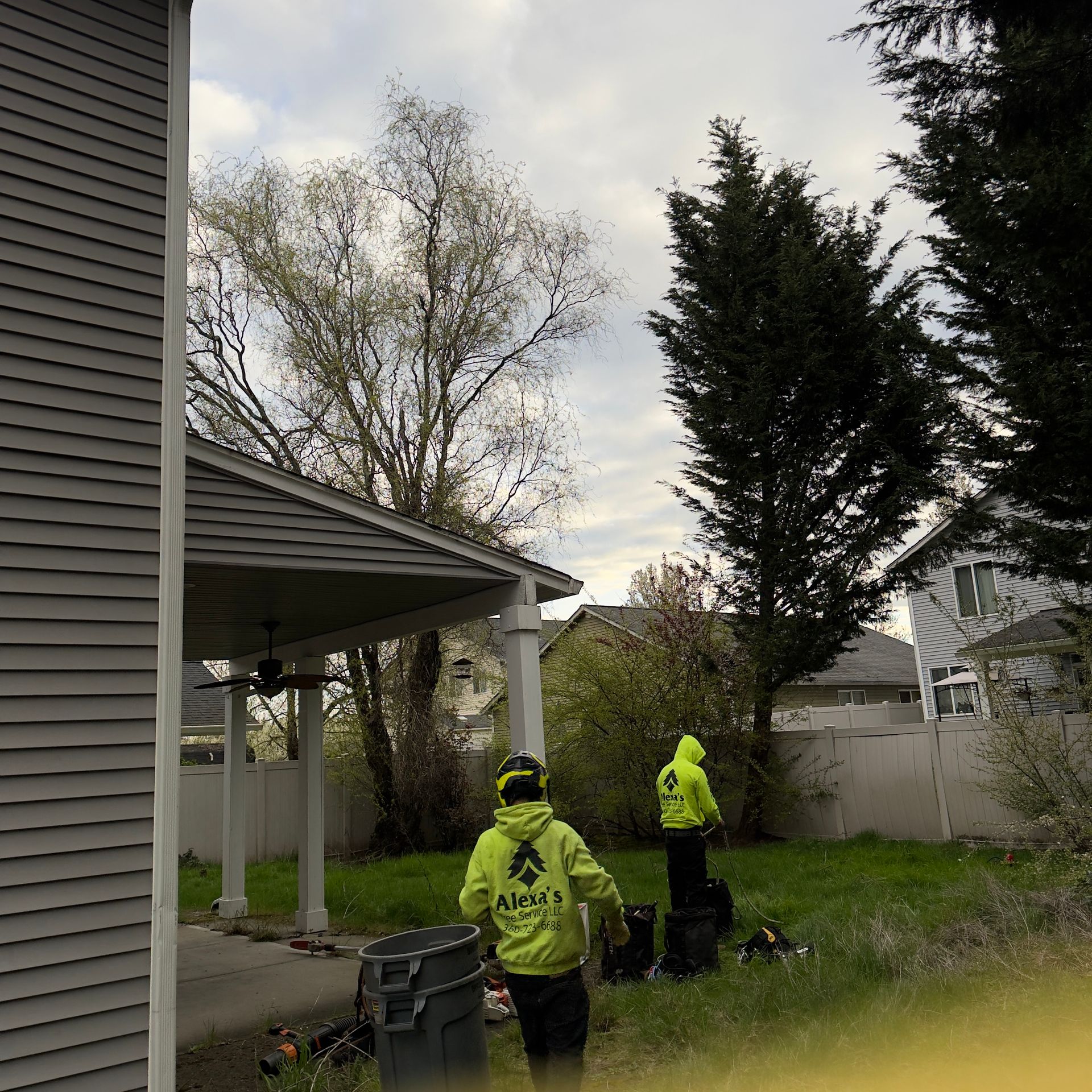 Two workers in neon jackets near a house, trimming overgrown bushes in a yard.