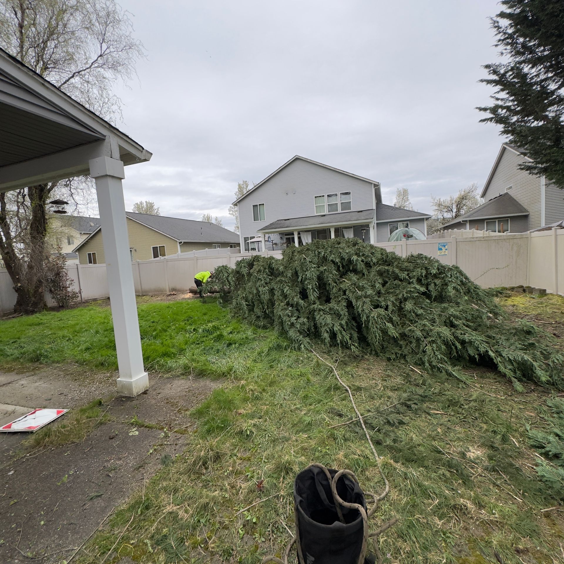 Large fallen tree branch blocking a backyard path near a house, with a porch and fence in view.