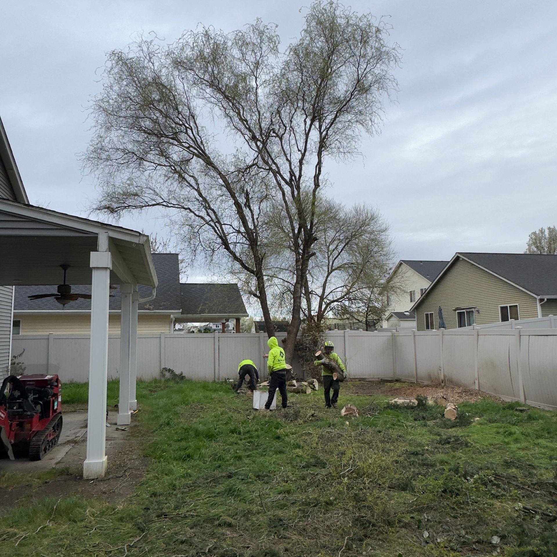 Workers trimming a large tree in a suburban backyard beside a white fence