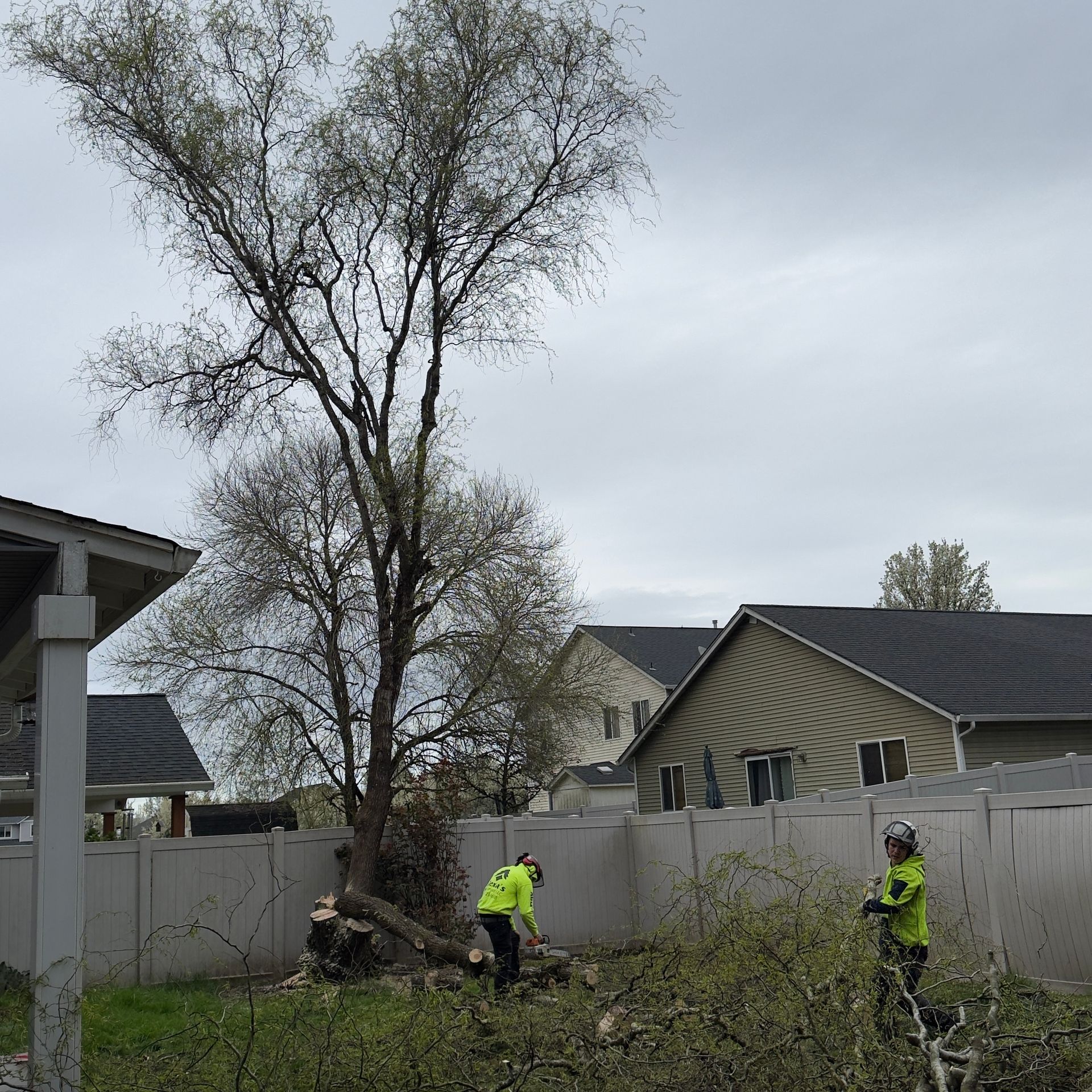 Workers in neon jackets clearing debris in a backyard beside a white fence and tall tree under a gray sky