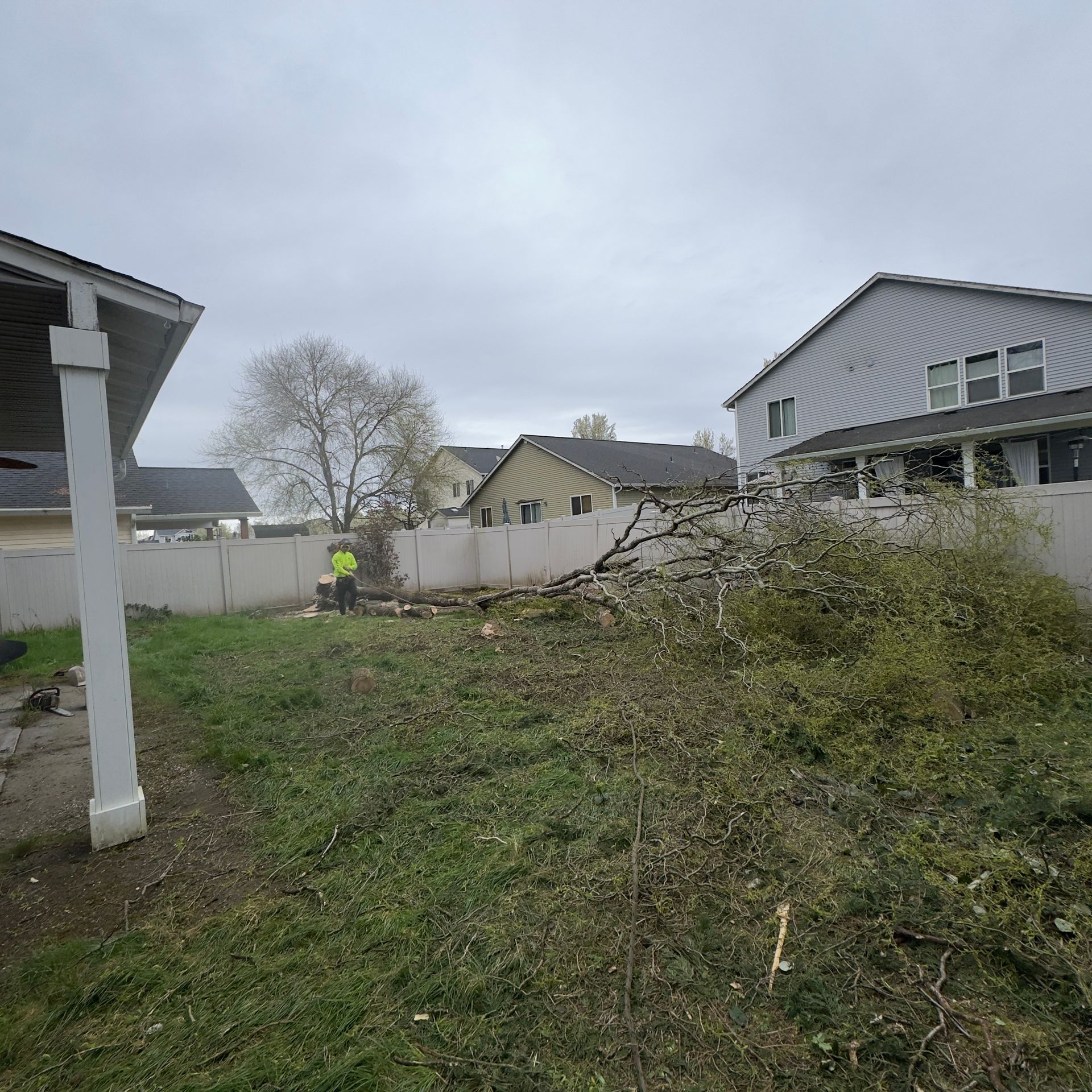 Backyard with overgrown grass, a fallen tree branch pile, and neighboring houses under a cloudy sky