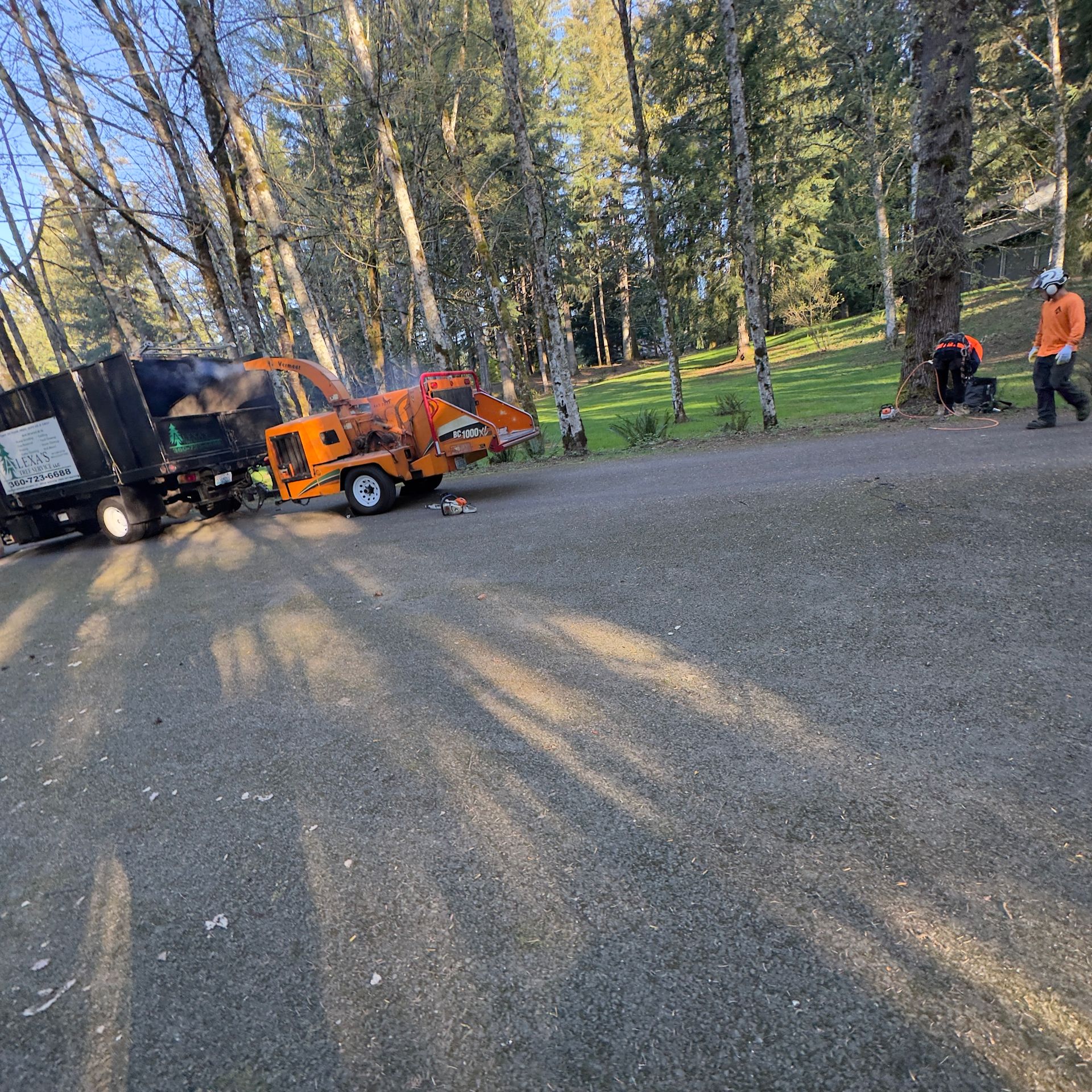 Orange wood chipper in a park with workers near trees and a black truck