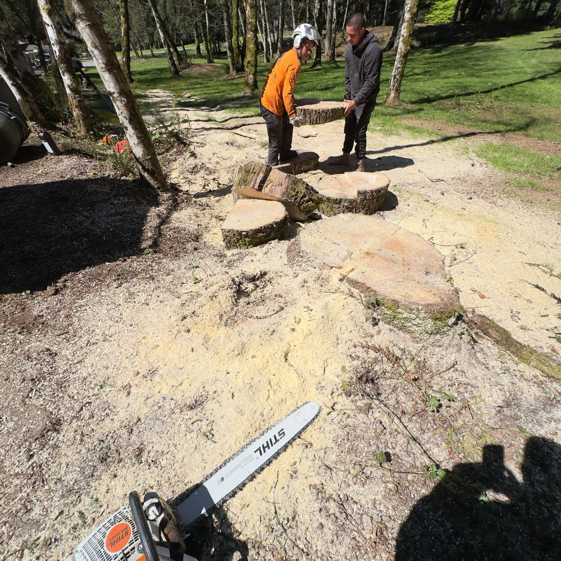 Two workers clearing debris in a sunny wooded yard, with a chainsaw in the foreground.