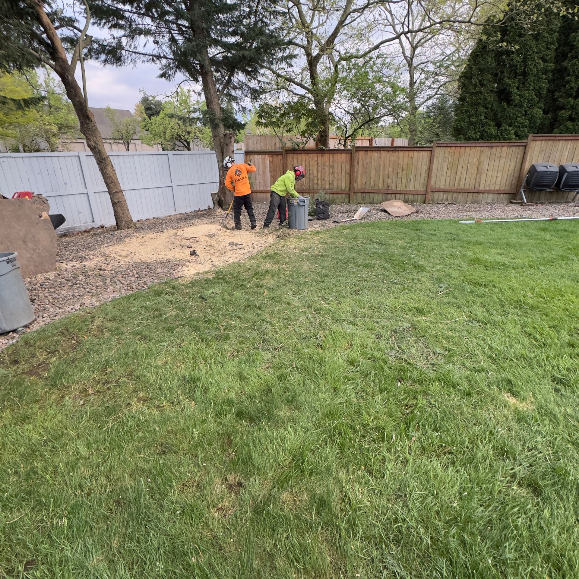 Workers in orange safety vests digging a trench beside a grassy yard and fenced backyard.