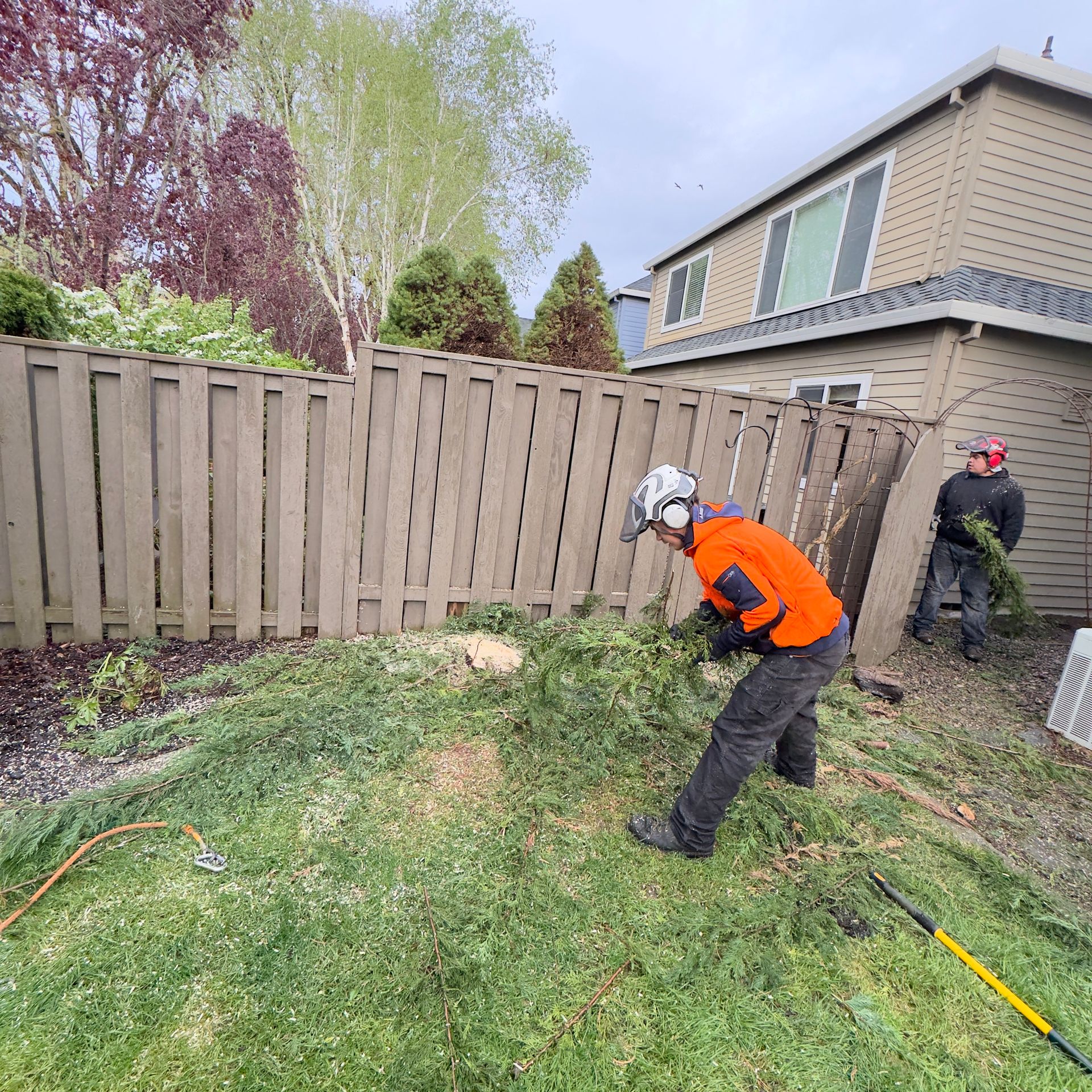 Two workers trimming a wooden fence line in a backyard, one in orange and one in black with a red cap.