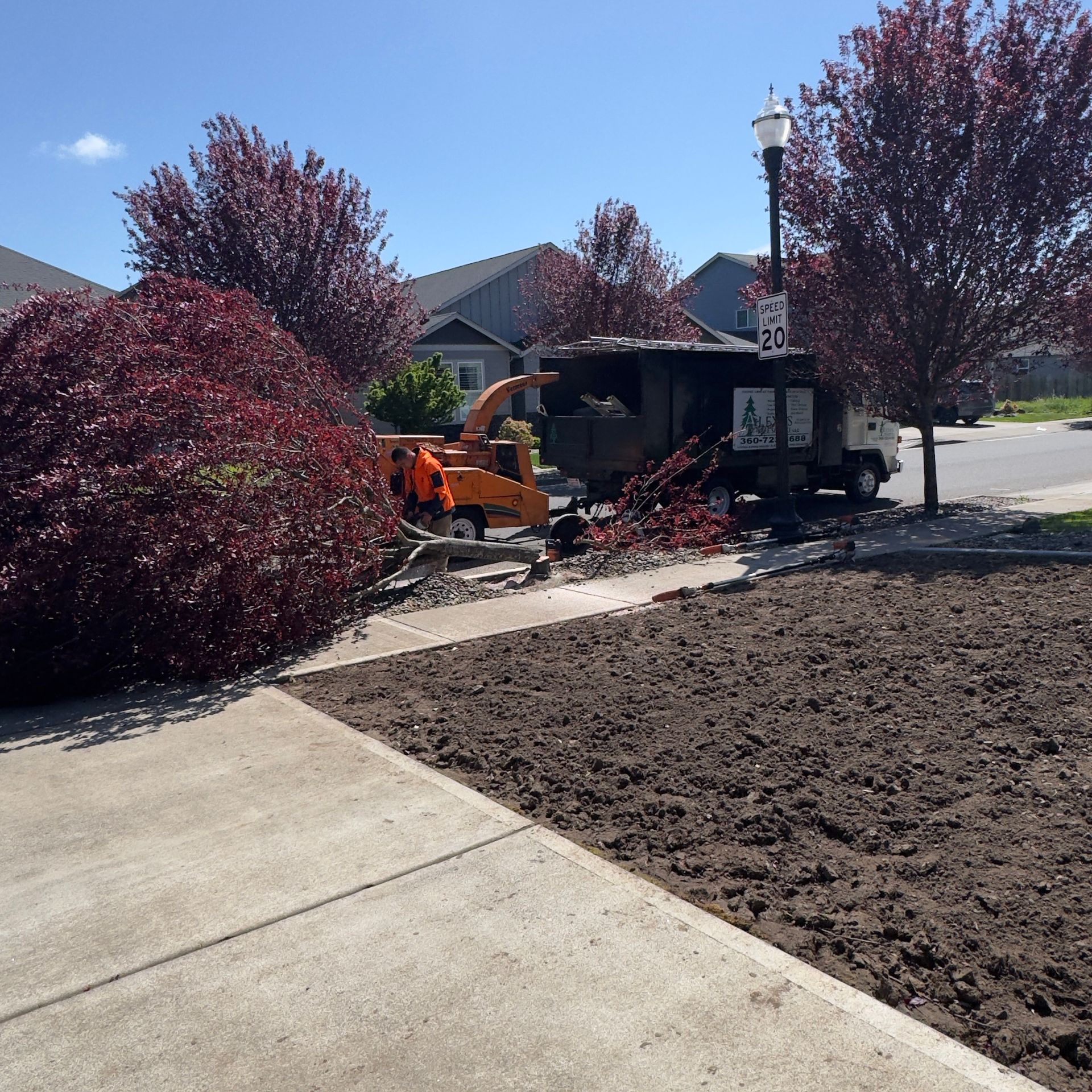 Backyard construction with an orange excavator beside a house, trees, and a freshly dug soil area