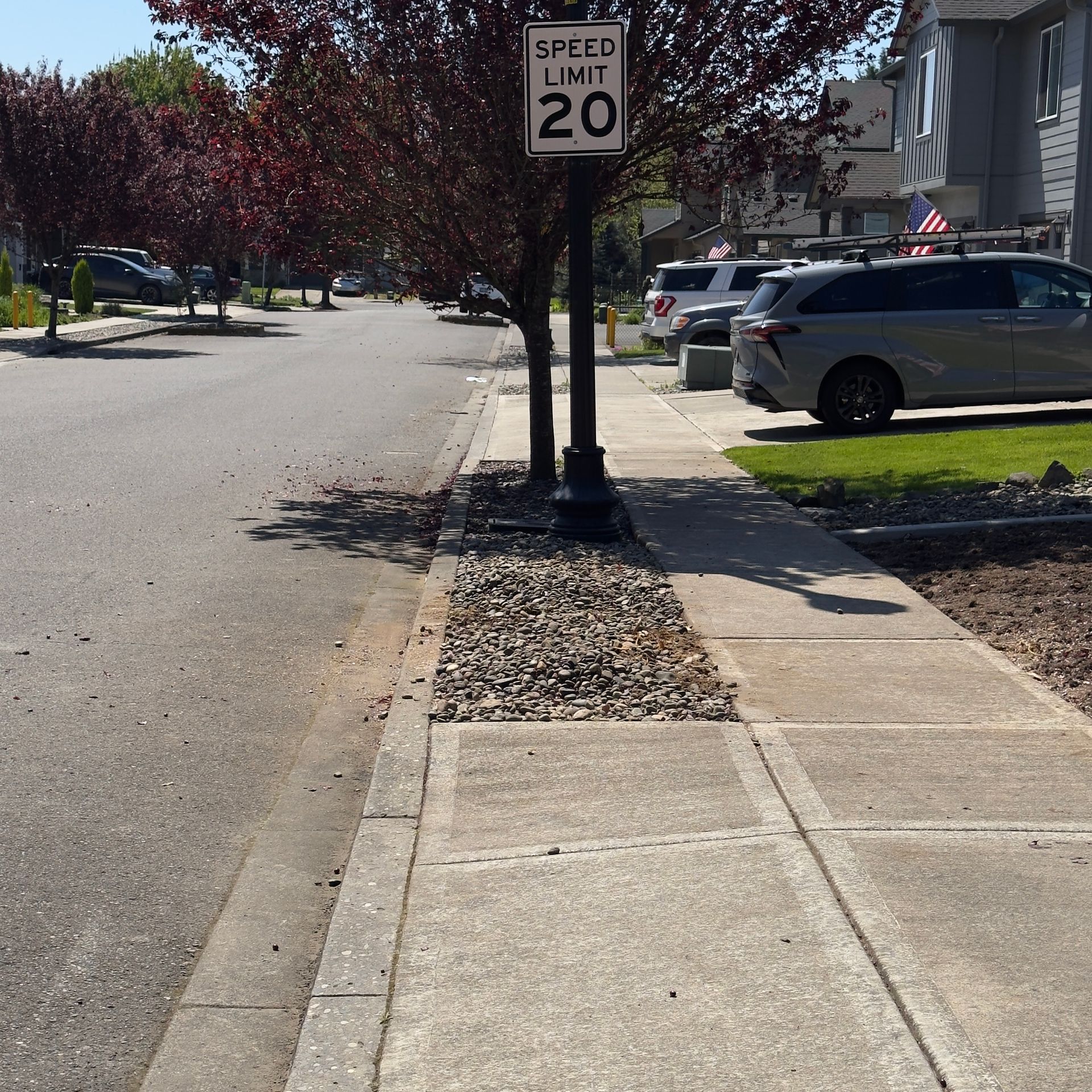 Sidewalk beside a street with a 20 mph speed limit sign, parked cars, and tree shadows on the pavement