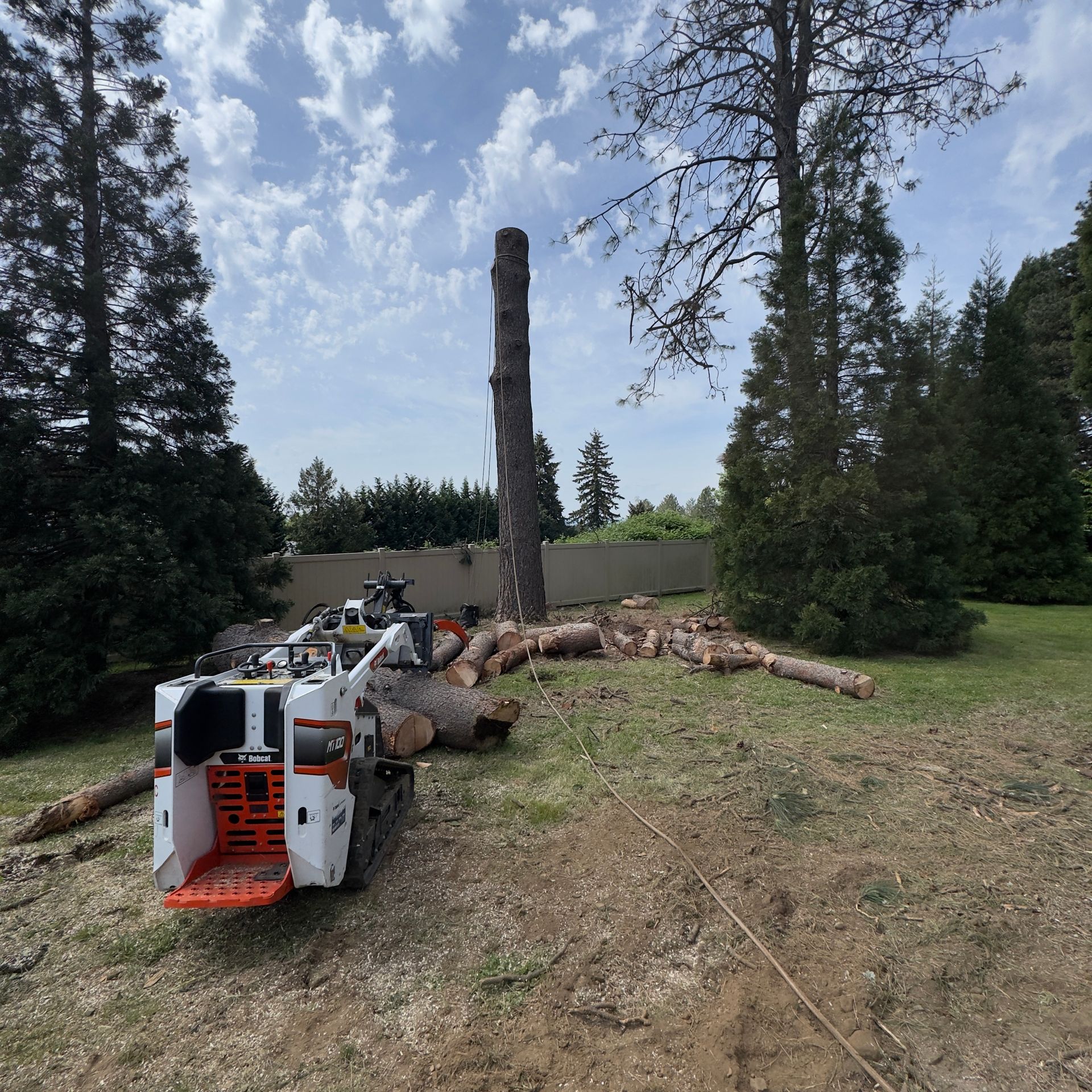 Backyard with a Bobcat loader, fallen logs, and a tall tree stump near a fence under a cloudy sky