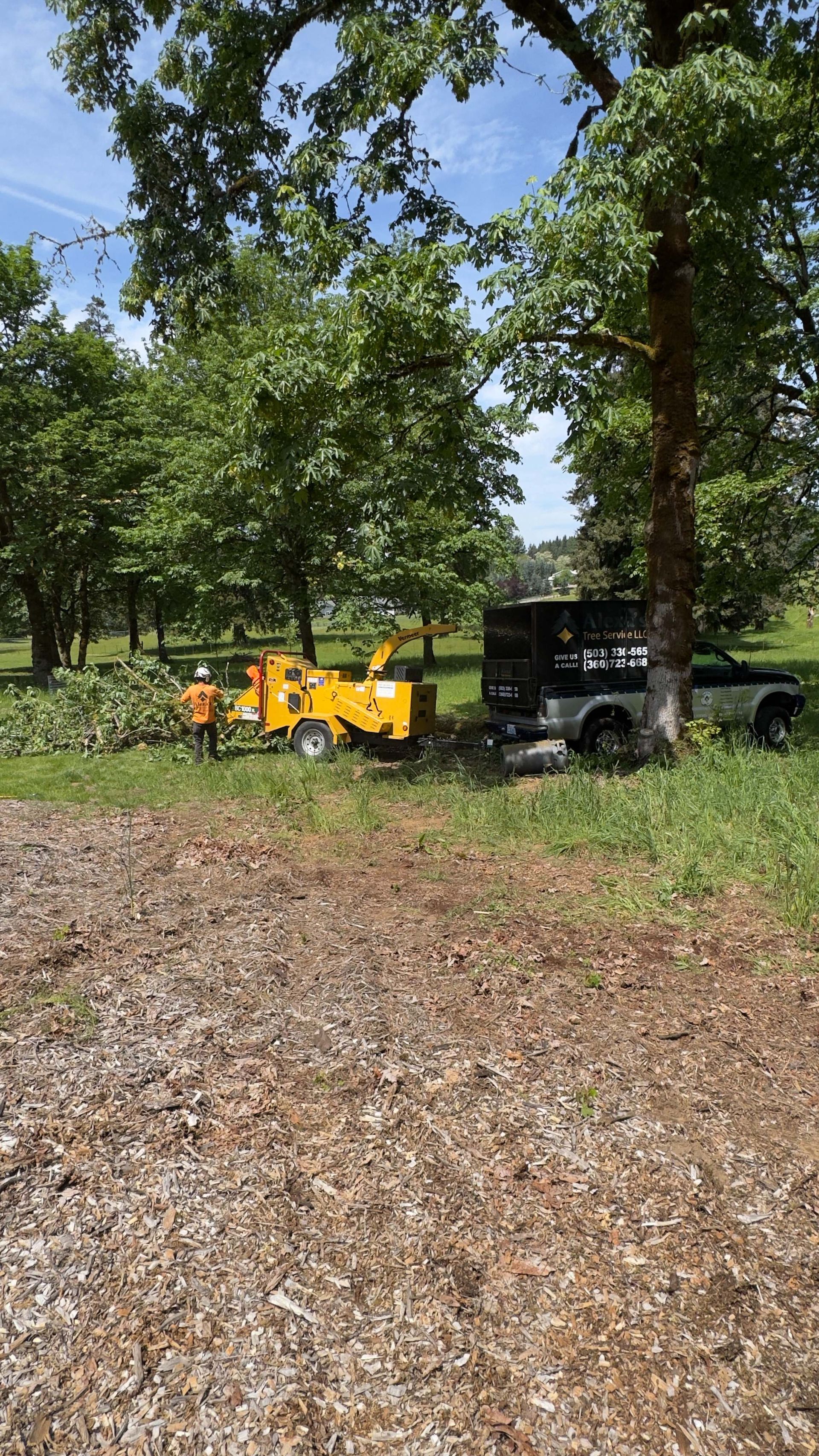 Yellow tractor and black vehicle parked under trees in a grassy outdoor area.
