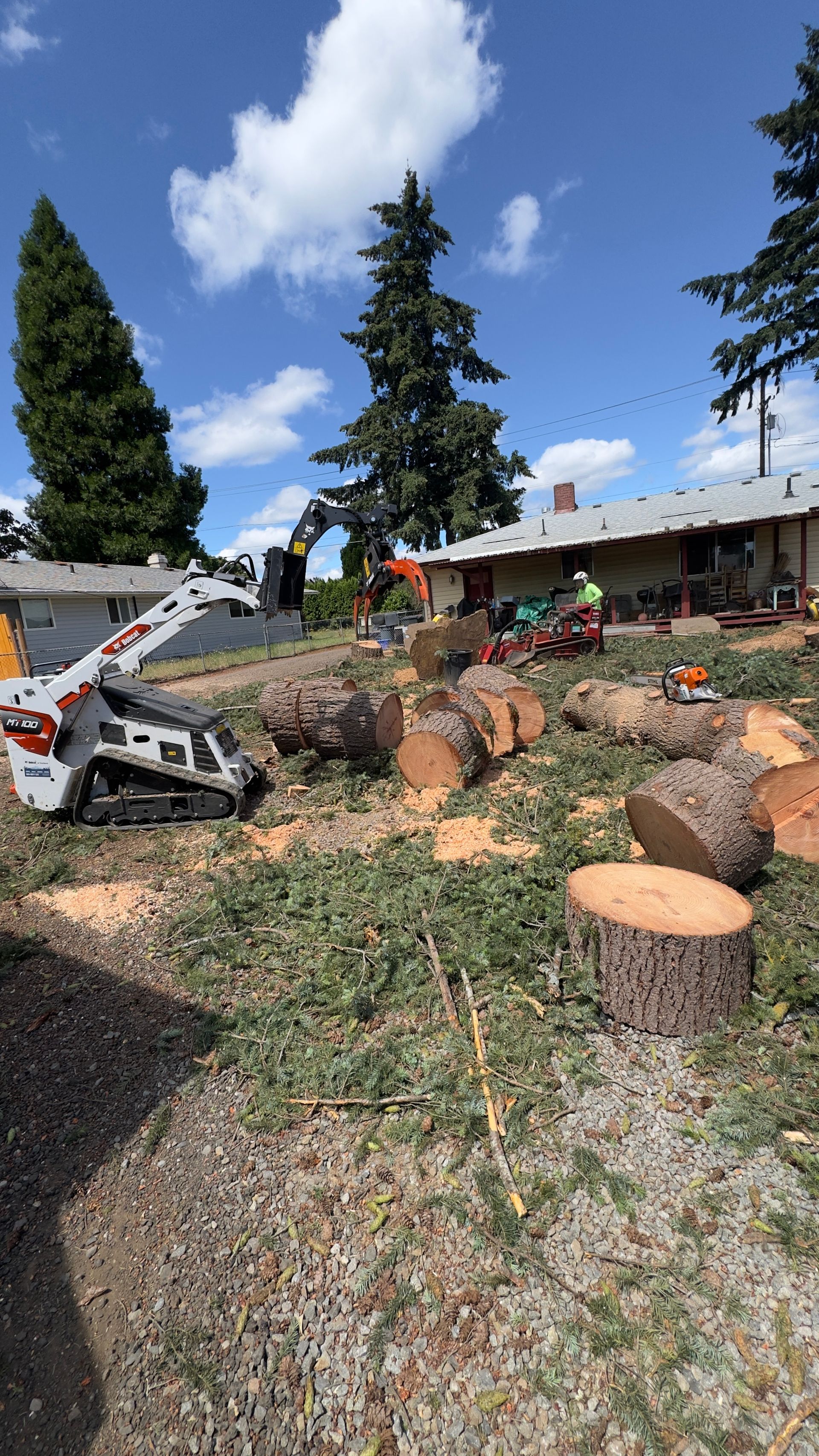 Yard with cut tree stumps, a small loader, and workers under a blue sky at a worksite