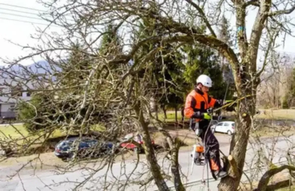 Worker in orange safety gear clearing fallen tree branches from a road with a chainsaw