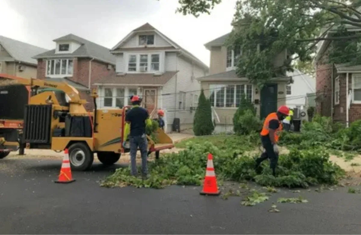 Workers clearing fallen tree branches from a suburban street with cones and a wood chipper.