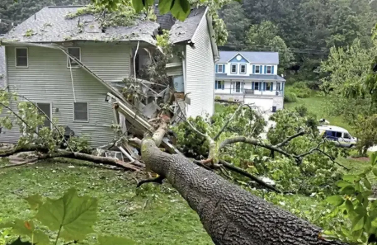 Fallen tree crushes a house roof after storm, with debris scattered in a green yard