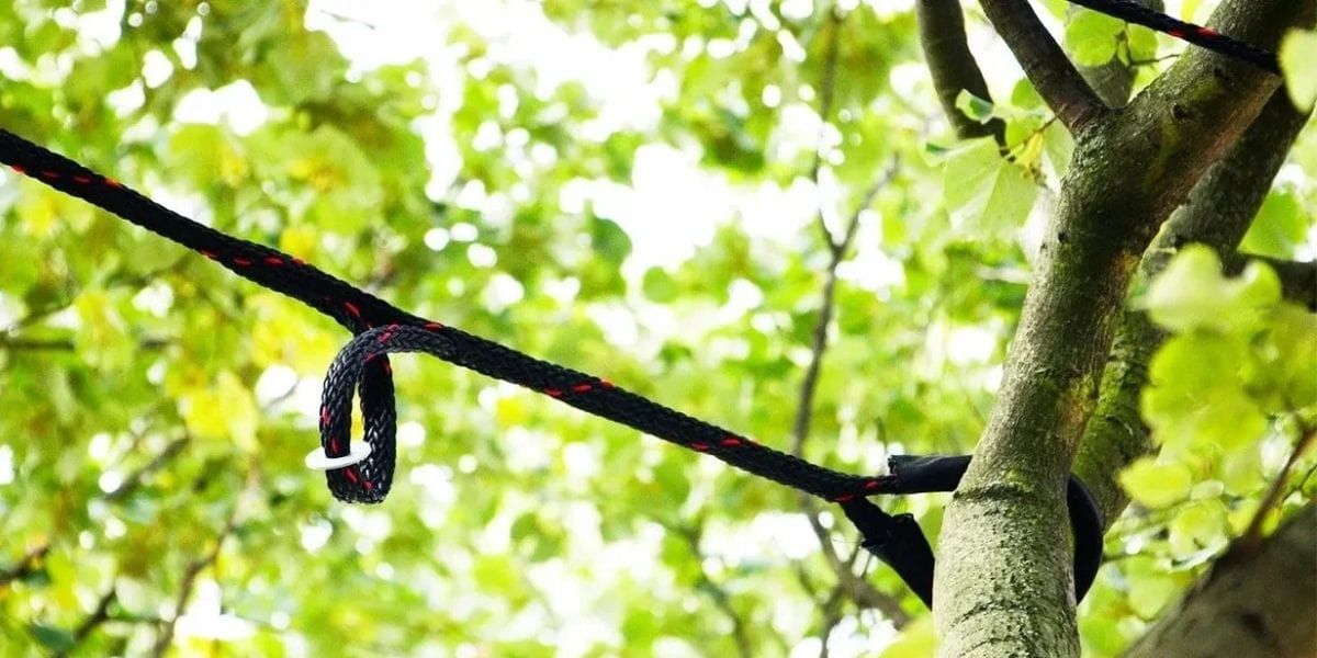 Black rope tied around a tree branch against green leaves