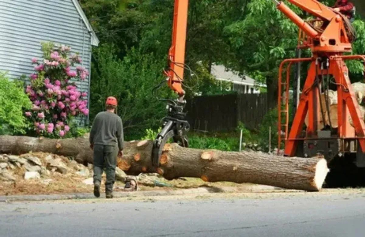 Worker stands by a large fallen tree being lifted by an orange crane beside a house.
