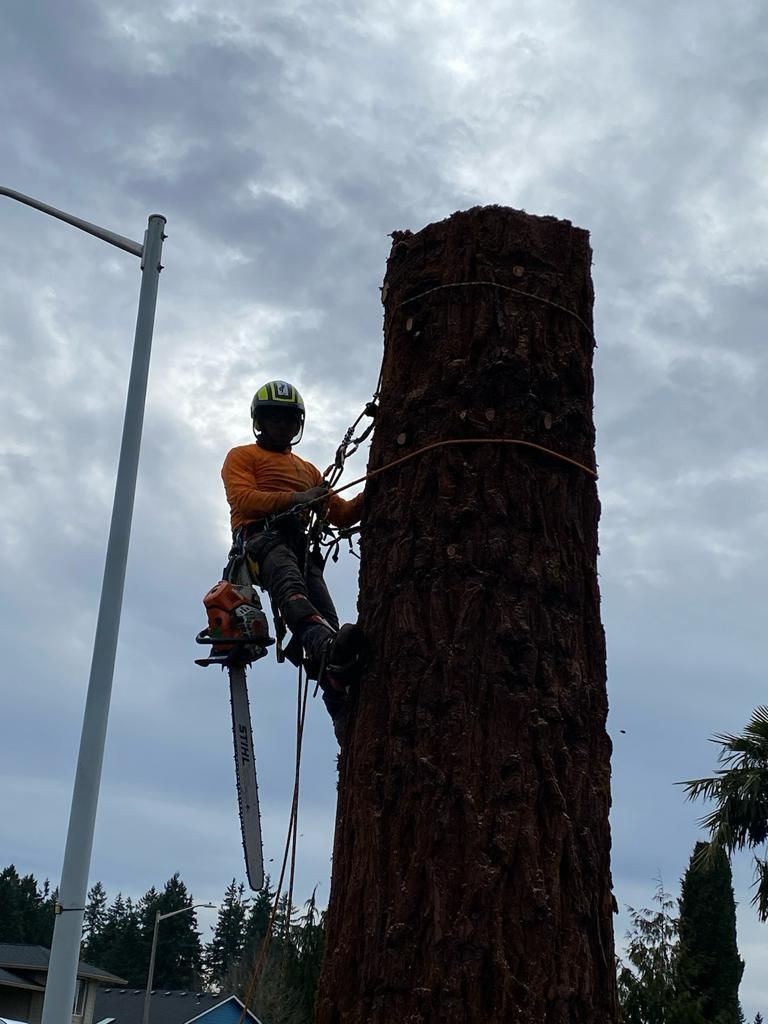 Worker in orange gear on a tree trunk, using climbing equipment outdoors under a cloudy sky.