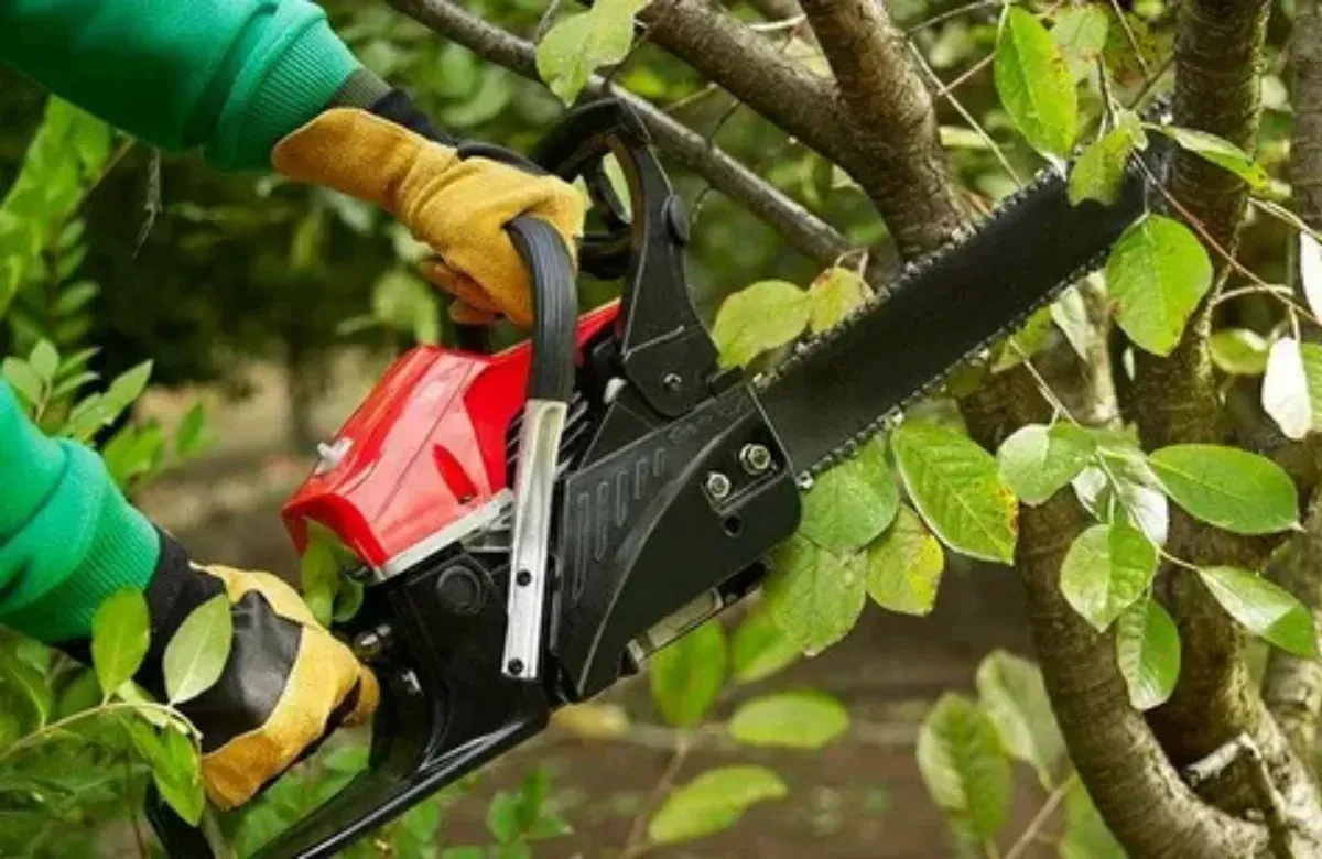 Gloved hands using a red chainsaw to trim tree branches and leaves outdoors