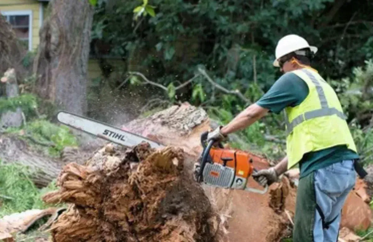 Worker in hard hat and safety vest using a chainsaw to cut a fallen tree trunk outdoors.