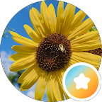 Google Review Profile