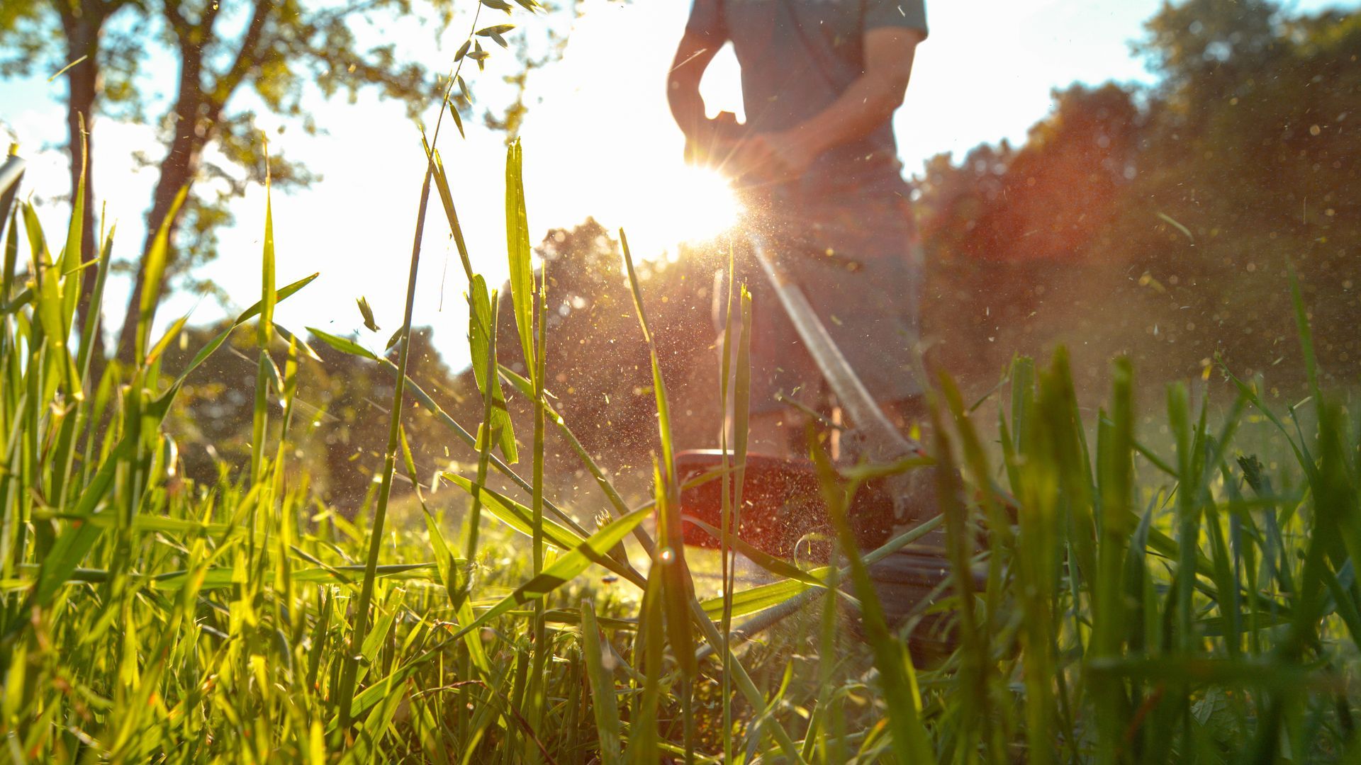 Worker performing lawn care maintenance with a grass trimmer outdoors.