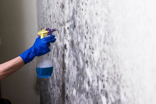 A person is cleaning a wall with a spray bottle.