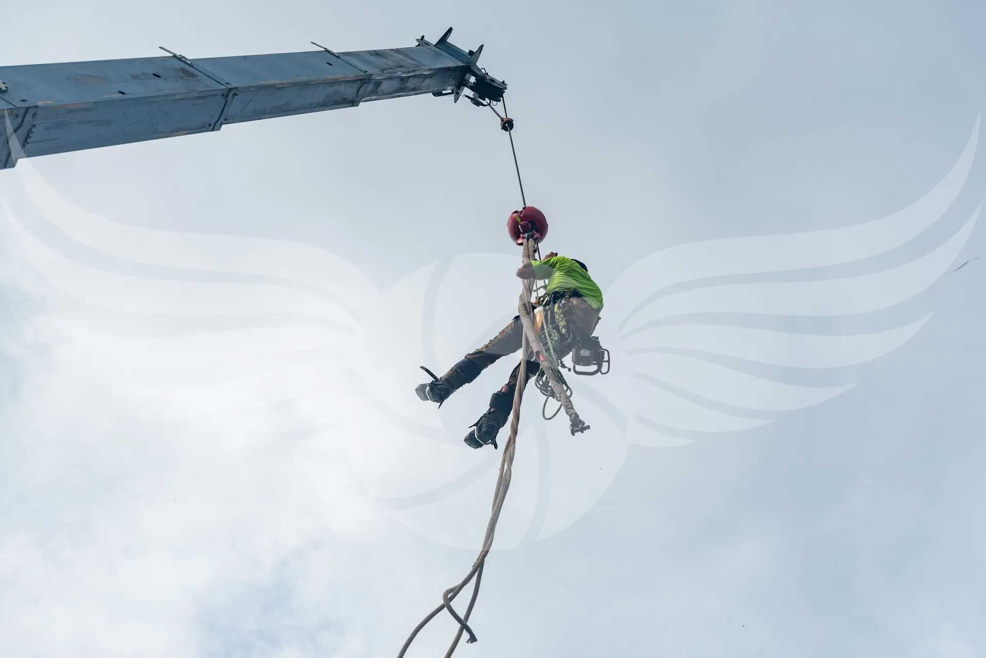 tree services 109