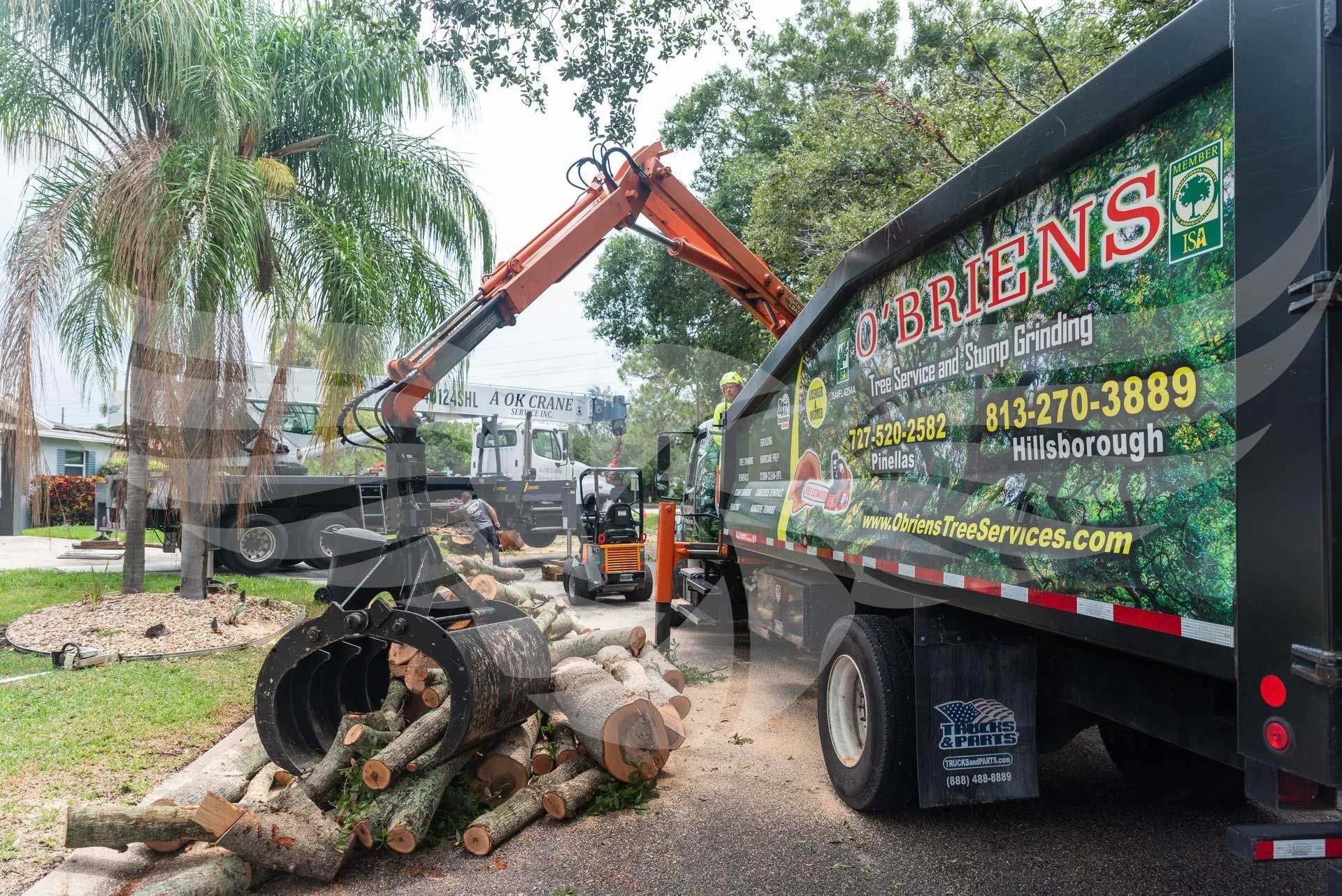 A truck with a crane on the back is carrying a pile of logs.