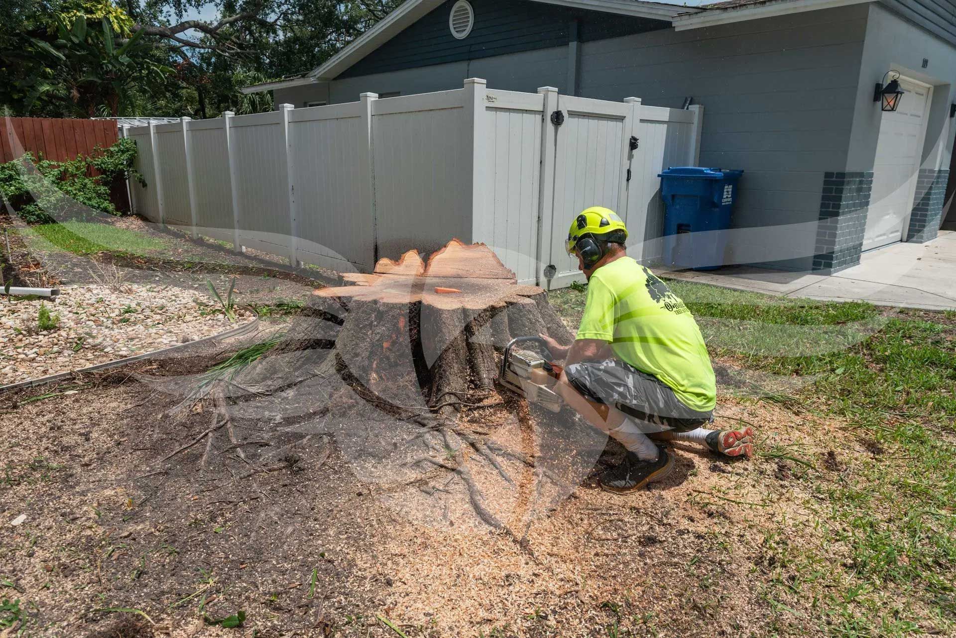 A man is kneeling down next to a tree stump.