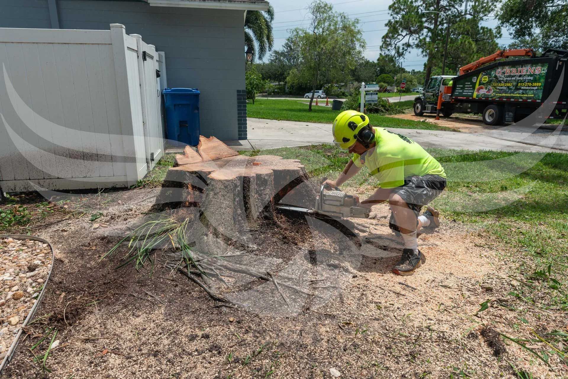 A man is cutting a tree stump with a chainsaw.