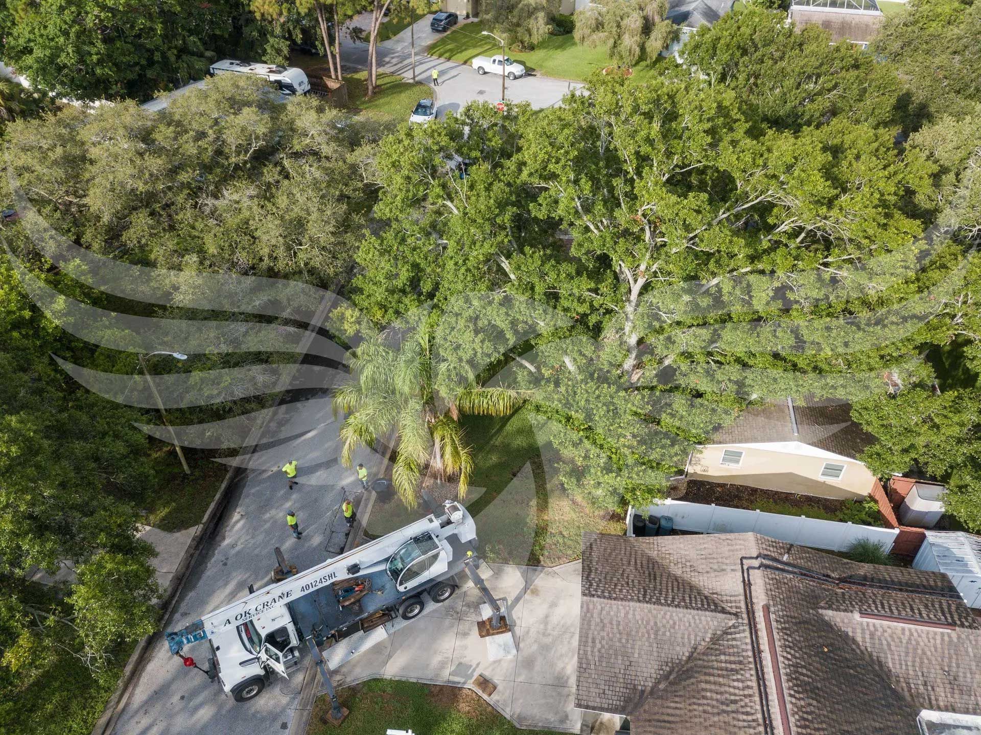 An aerial view of a tree being removed from a roof.