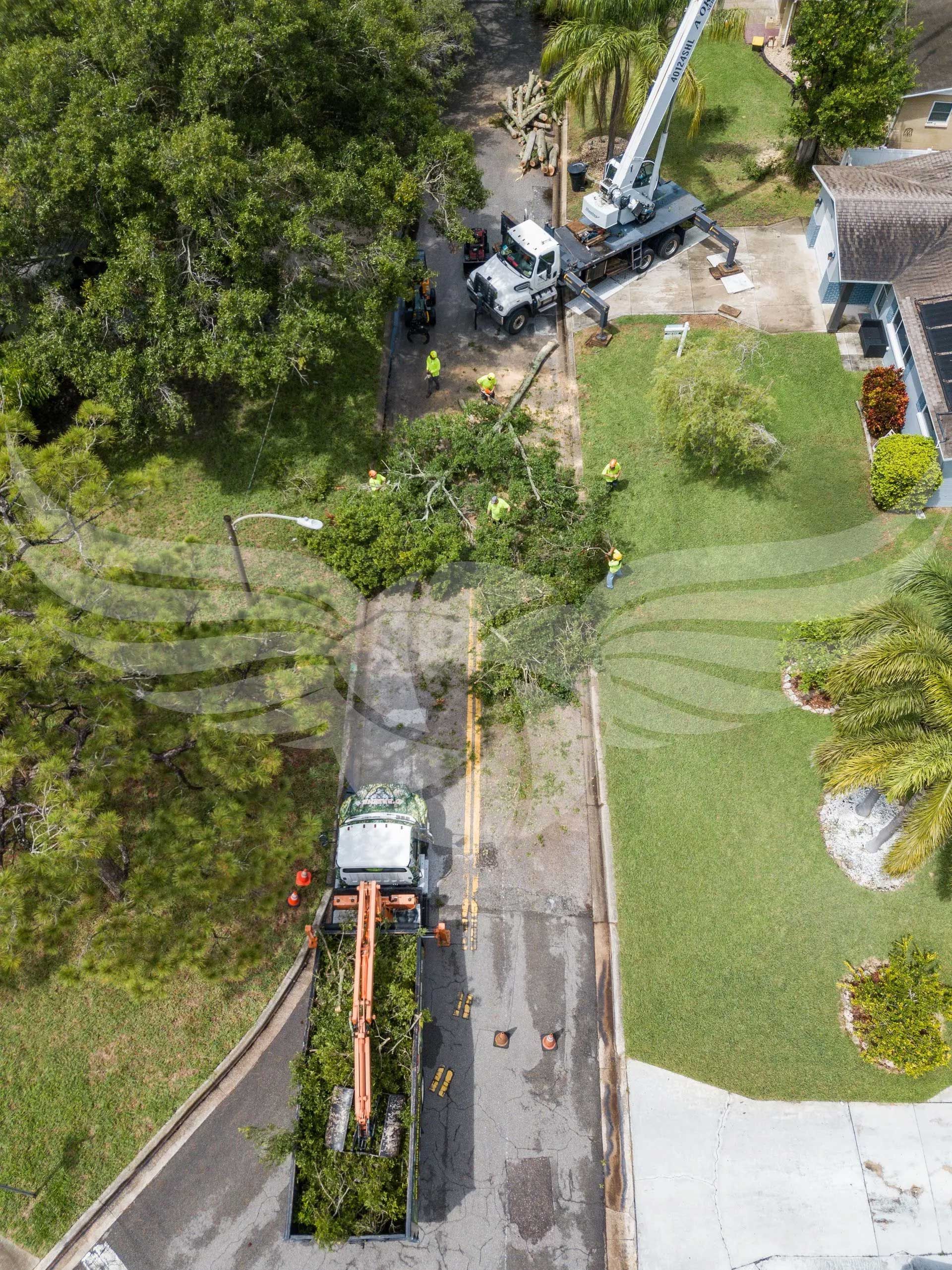 An aerial view of a tree being cut down by a crane.