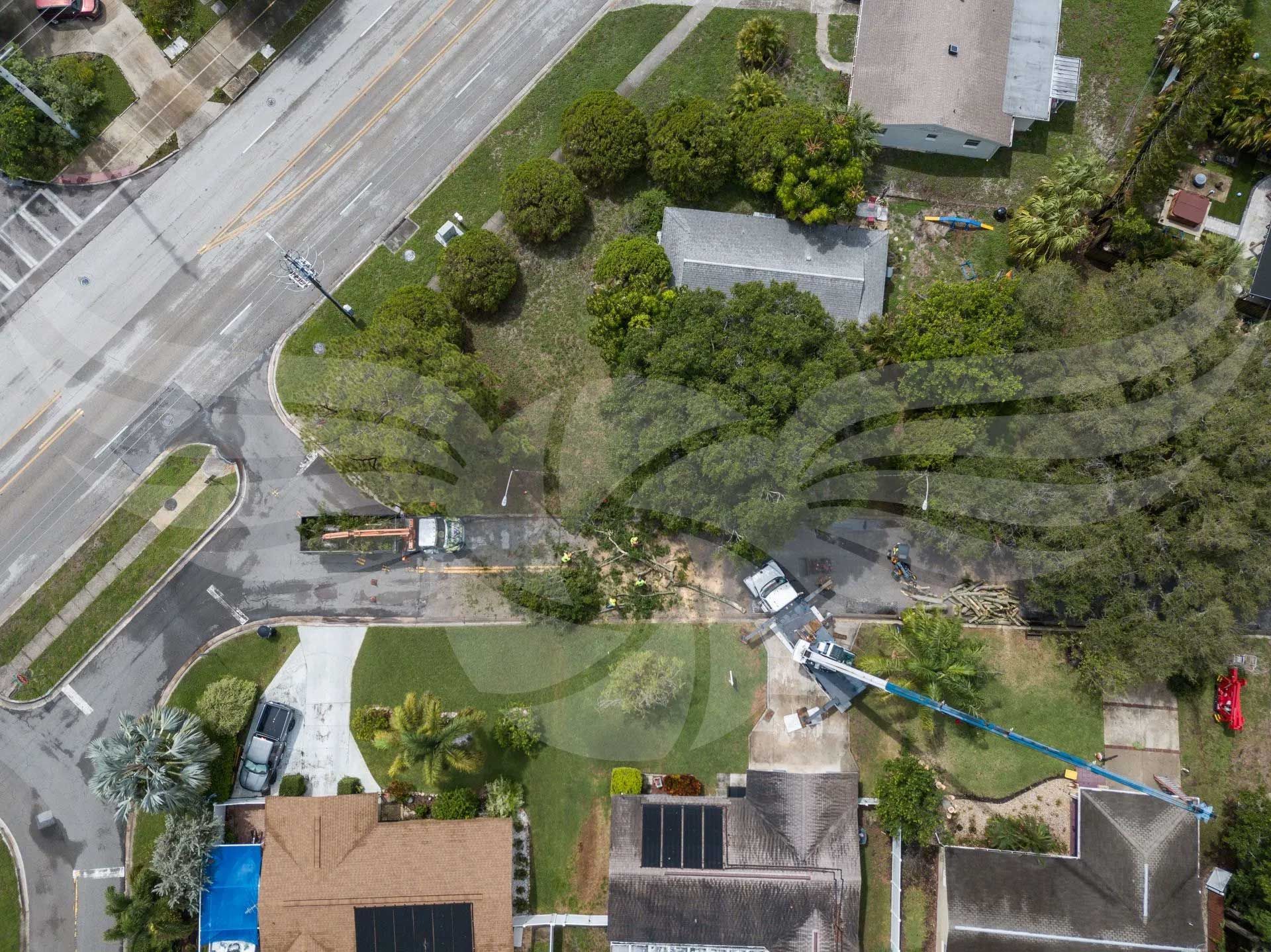 An aerial view of a tree being removed from a residential area.